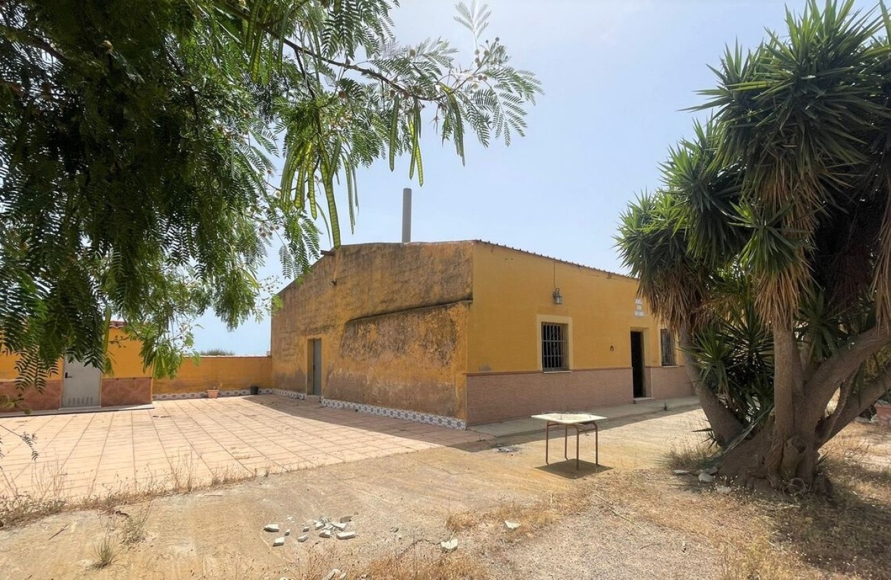 Resale - Commercial -
Balsicas - Torre Pacheco