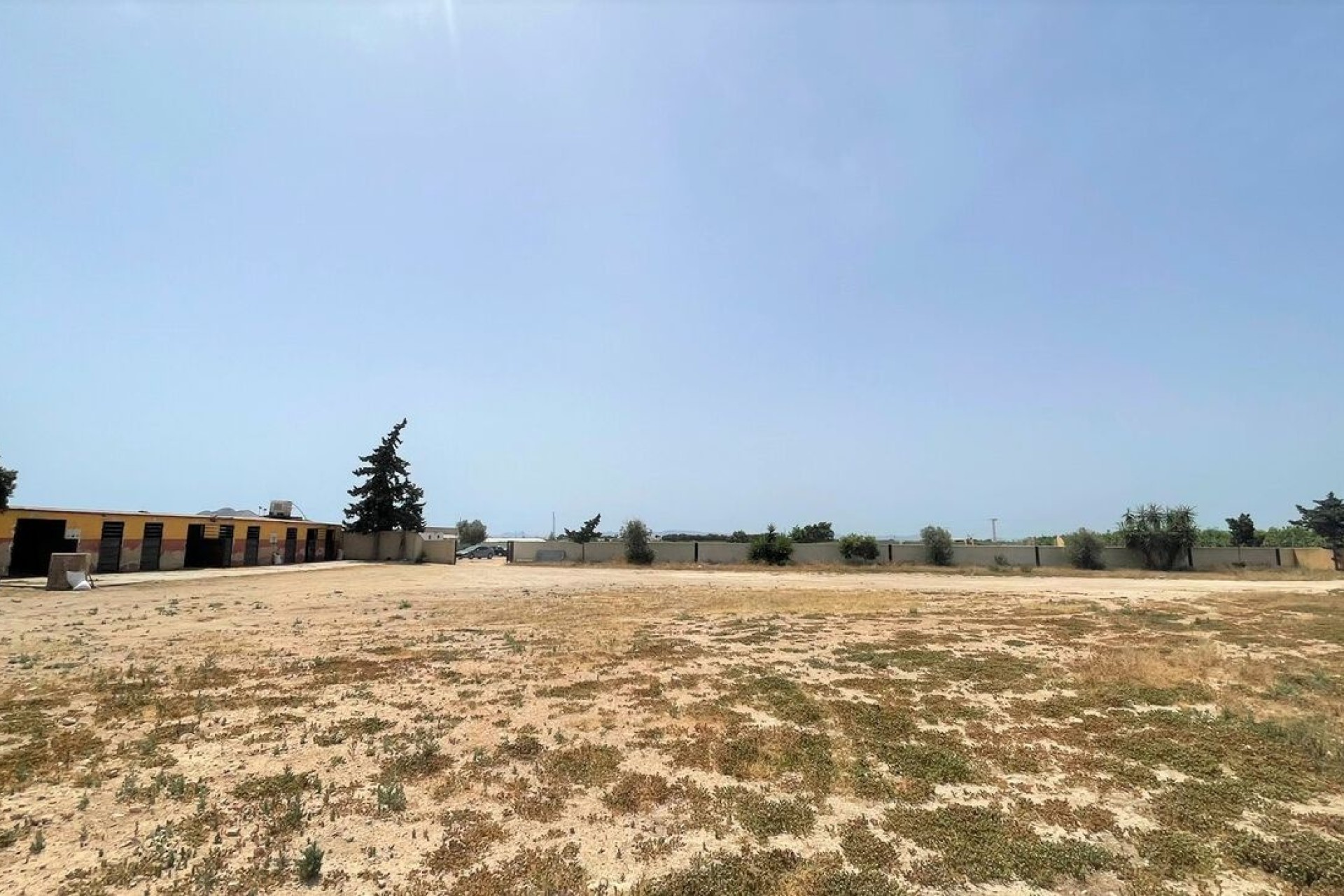 Resale - Commercial -
Balsicas - Torre Pacheco