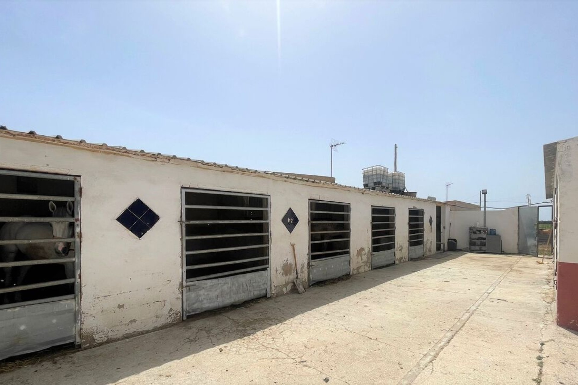 Resale - Commercial -
Balsicas - Torre Pacheco