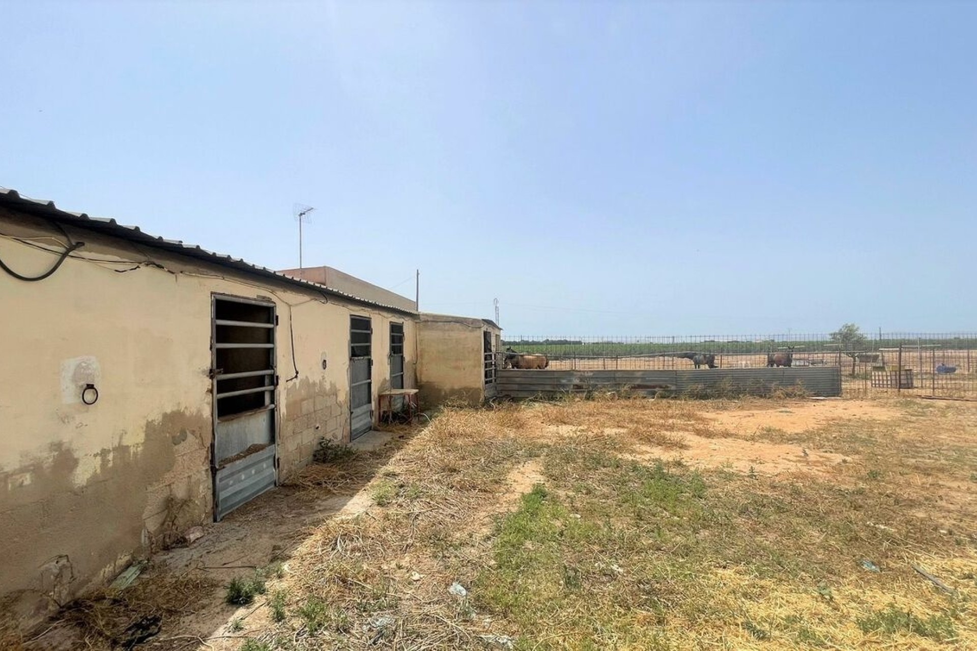Resale - Commercial -
Balsicas - Torre Pacheco