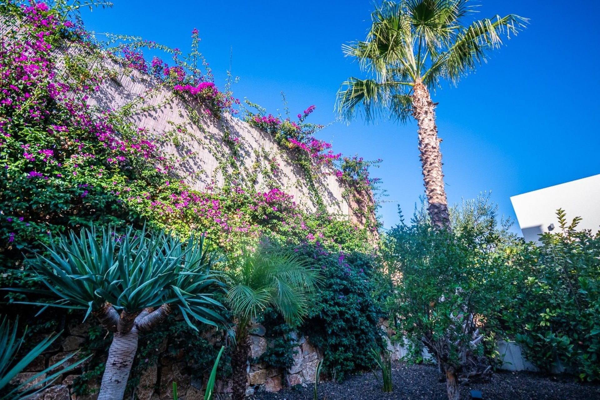 Resale - Detached Villa -
Algorfa - LA FINCA GOLF / ALGORFA