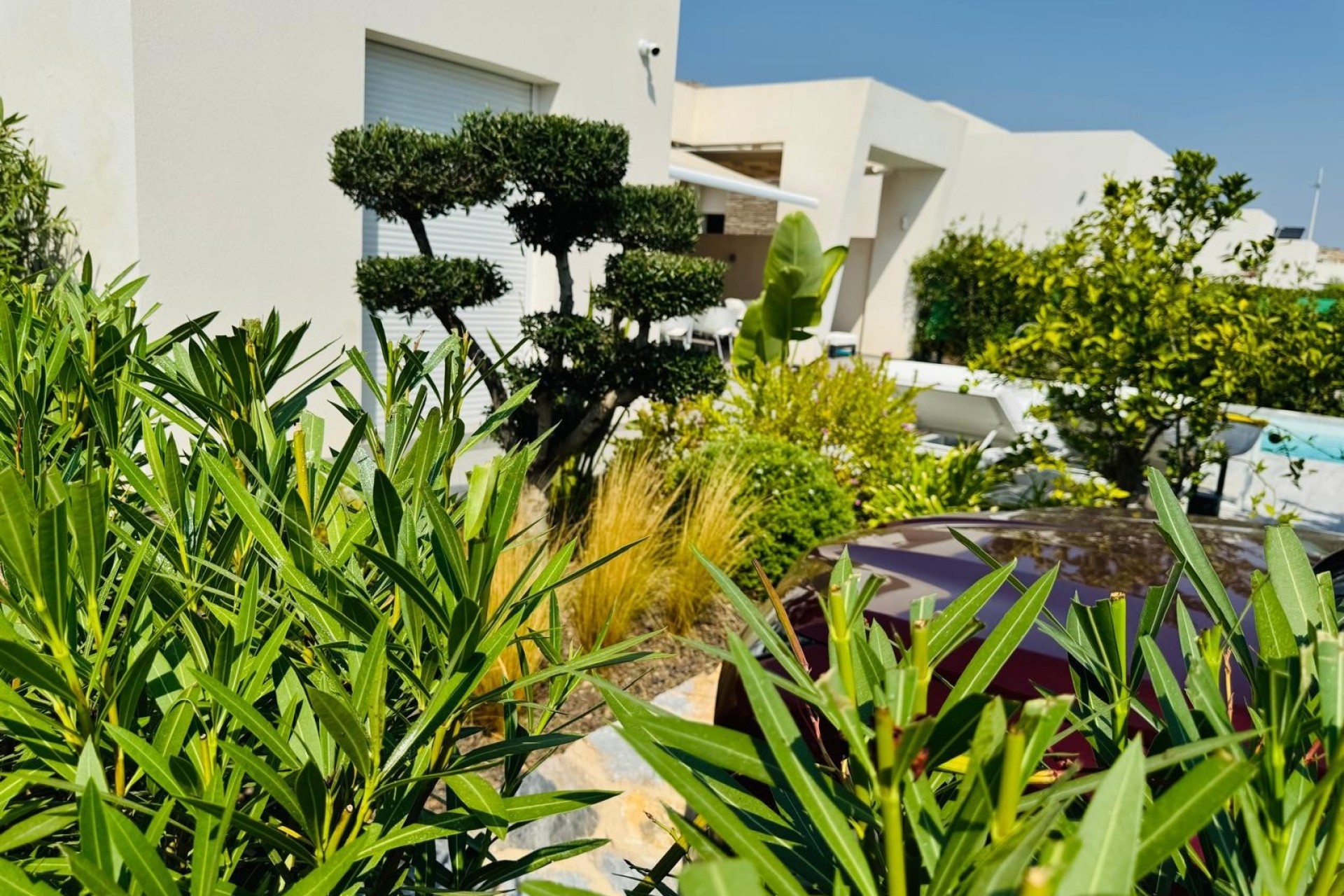 Resale - Detached Villa -
Algorfa - La finca Golf