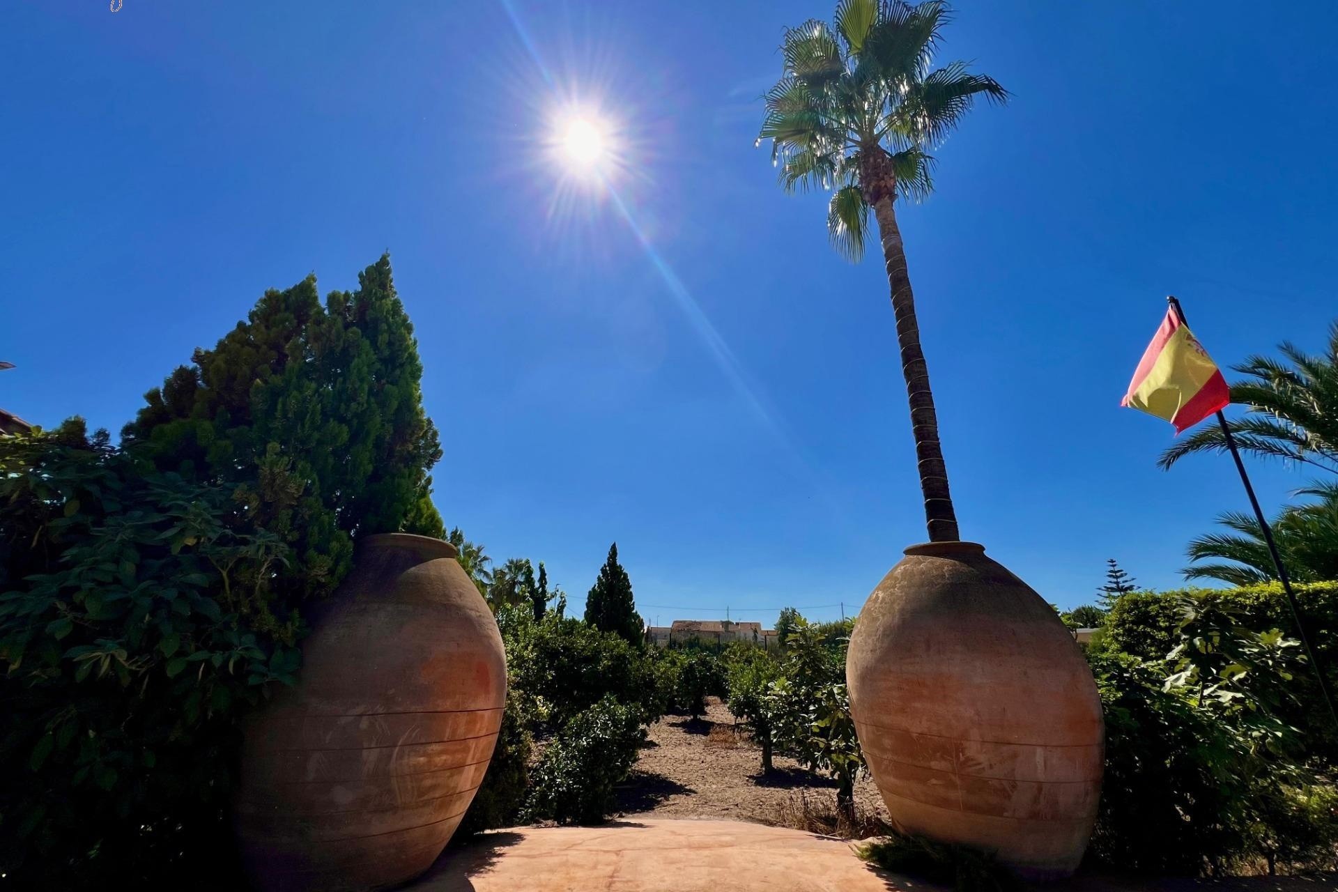 Resale - Detached Villa -
Almoradí - Comunidad Valenciana