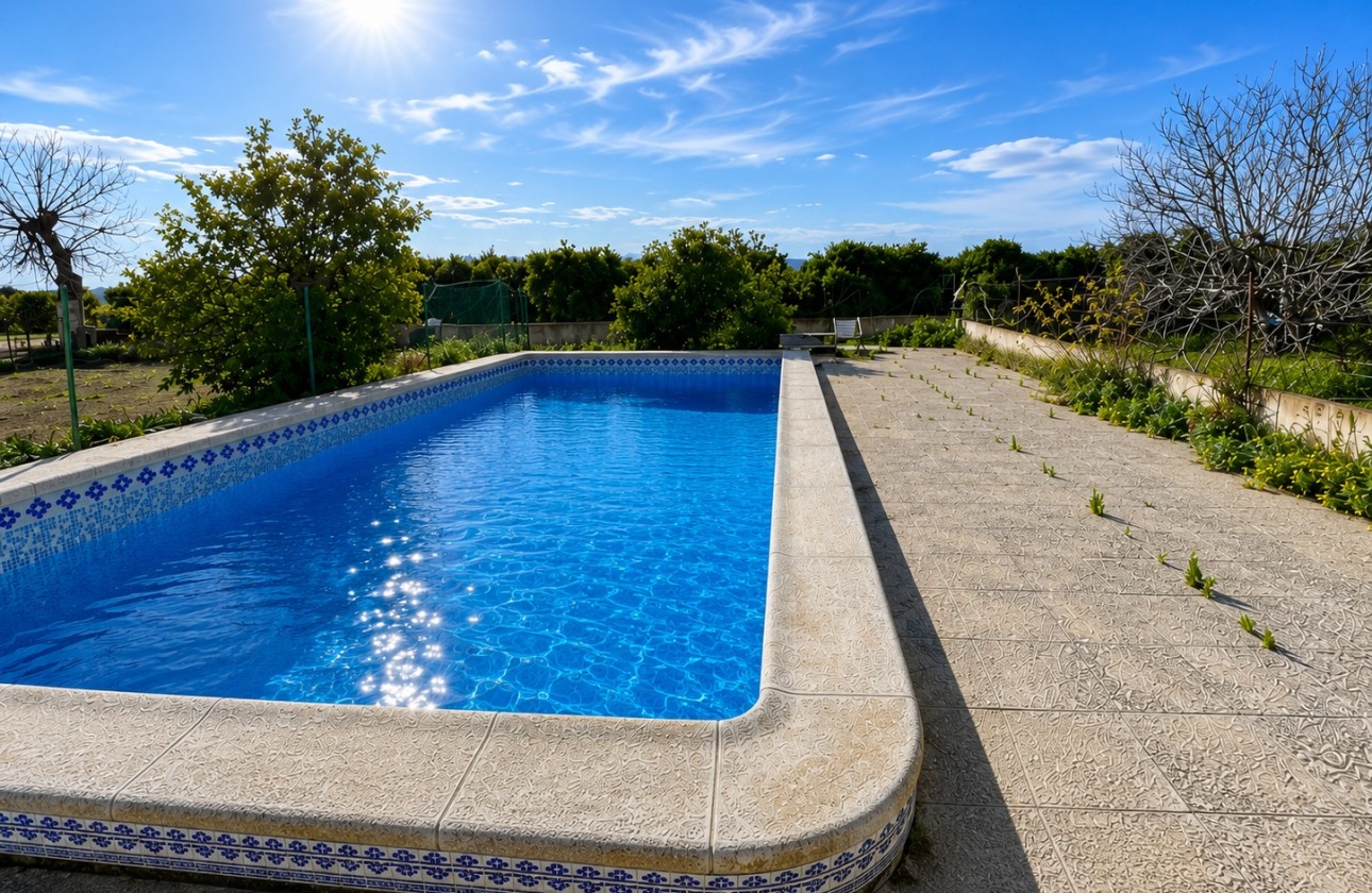 Resale - Detached Villa -
Benejúzar - Comunidad Valenciana