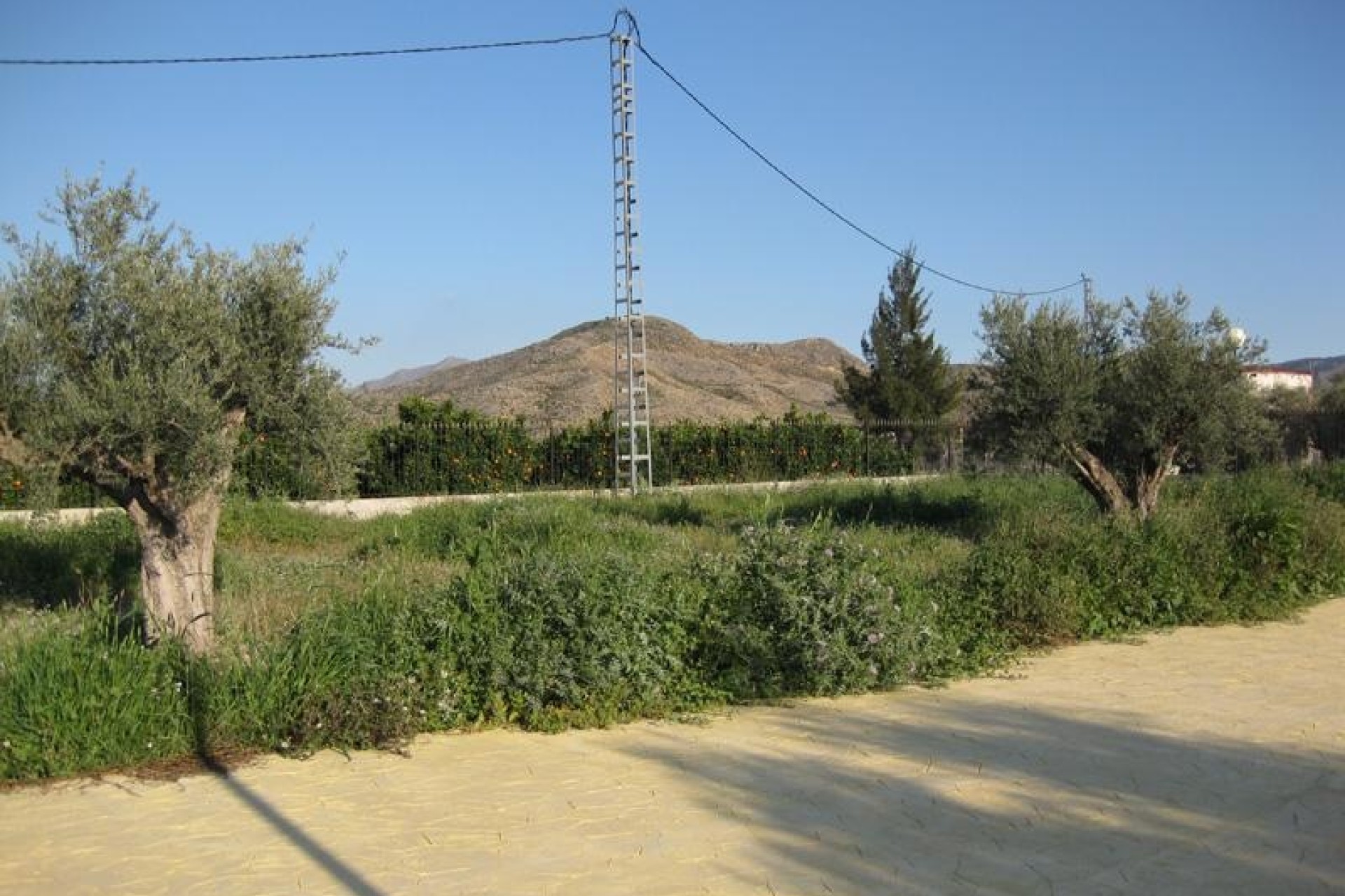Resale - Detached Villa -
Benferri