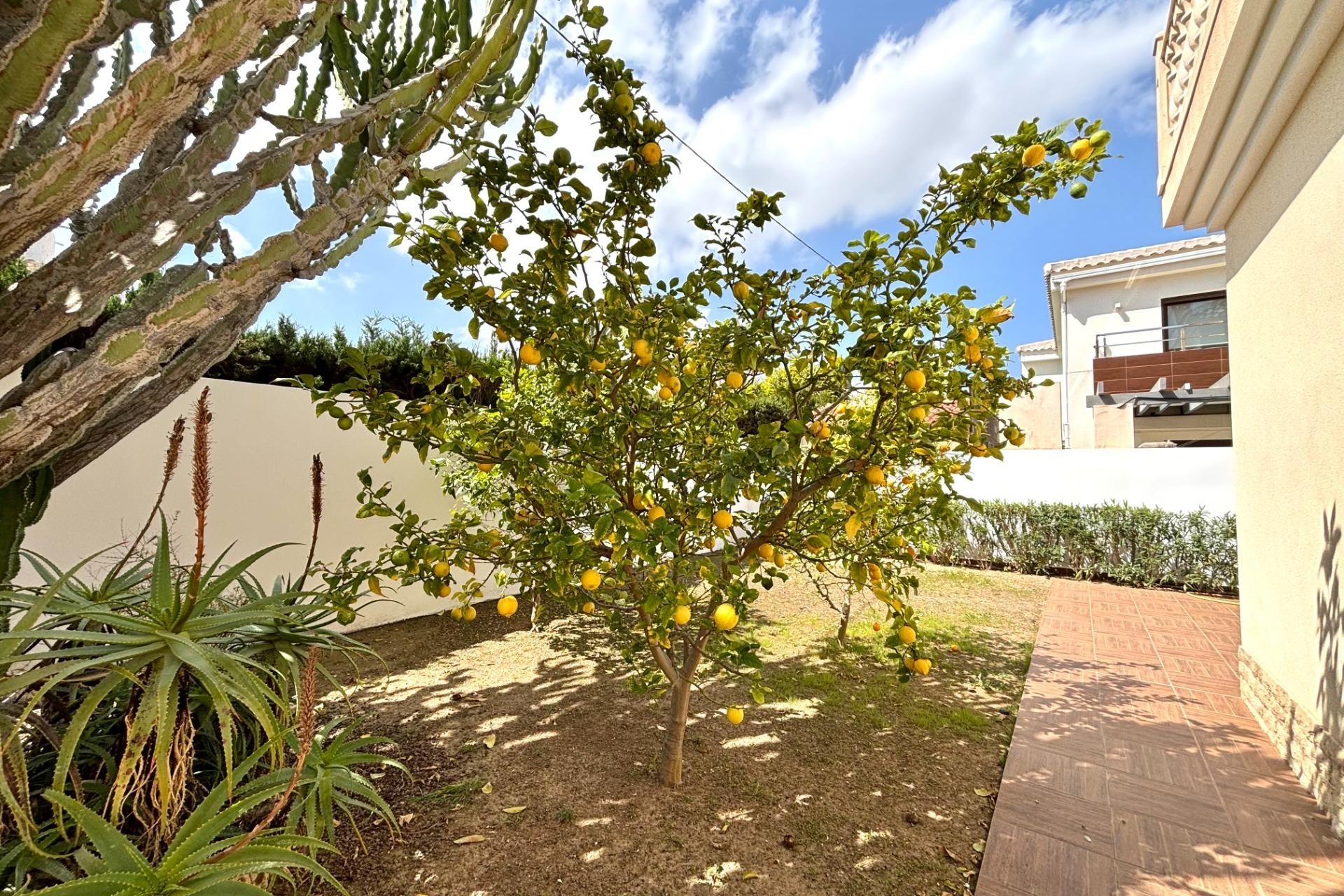 Resale - Detached Villa -
Cabo Roig