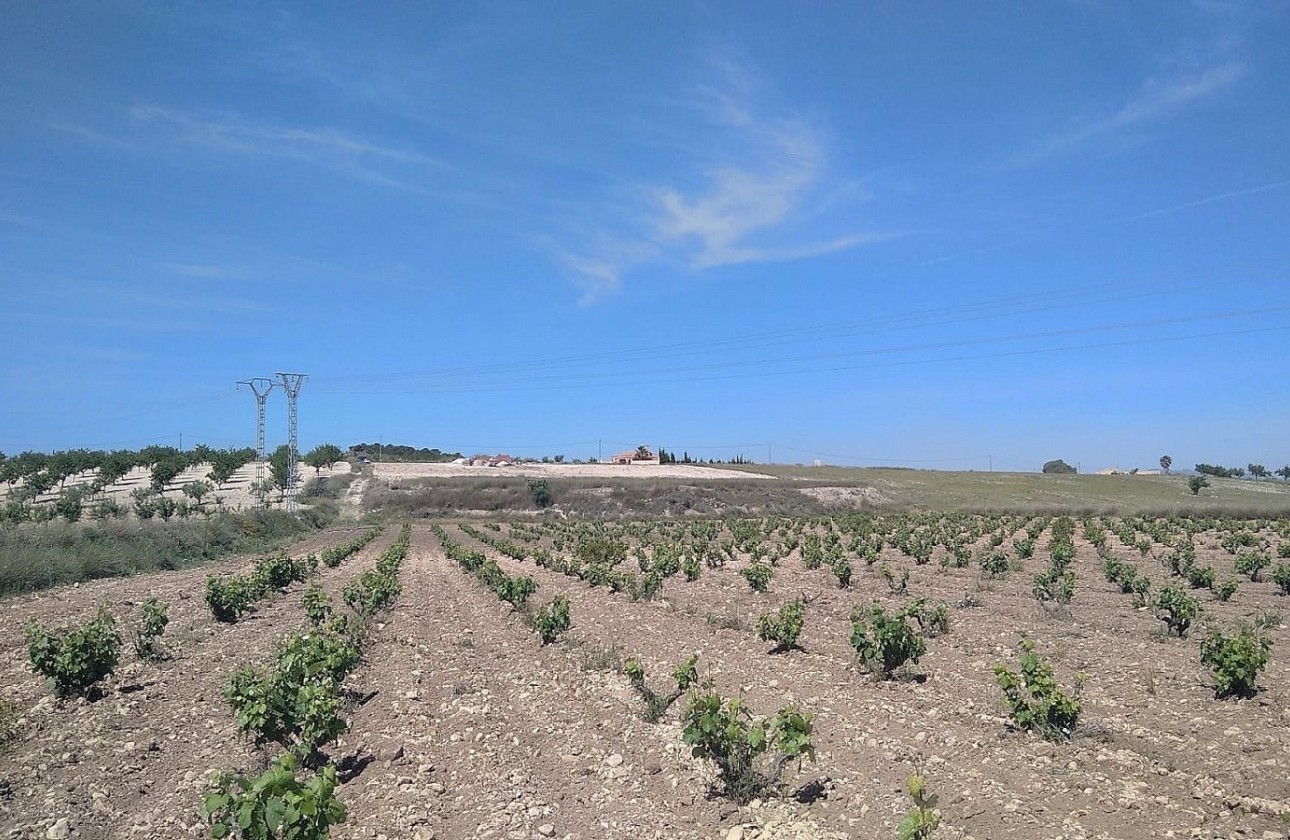 Resale - Detached Villa -
Cañada del Trigo