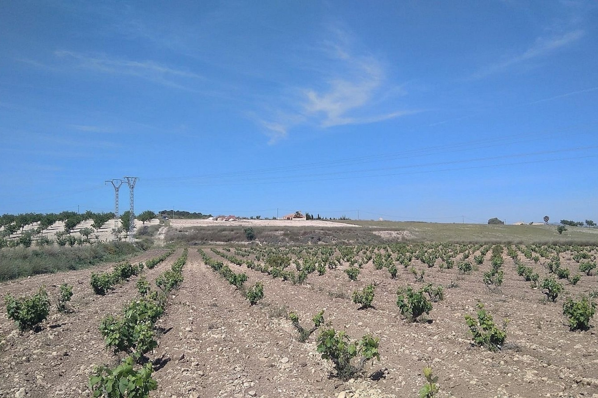 Resale - Detached Villa -
Cañada del Trigo