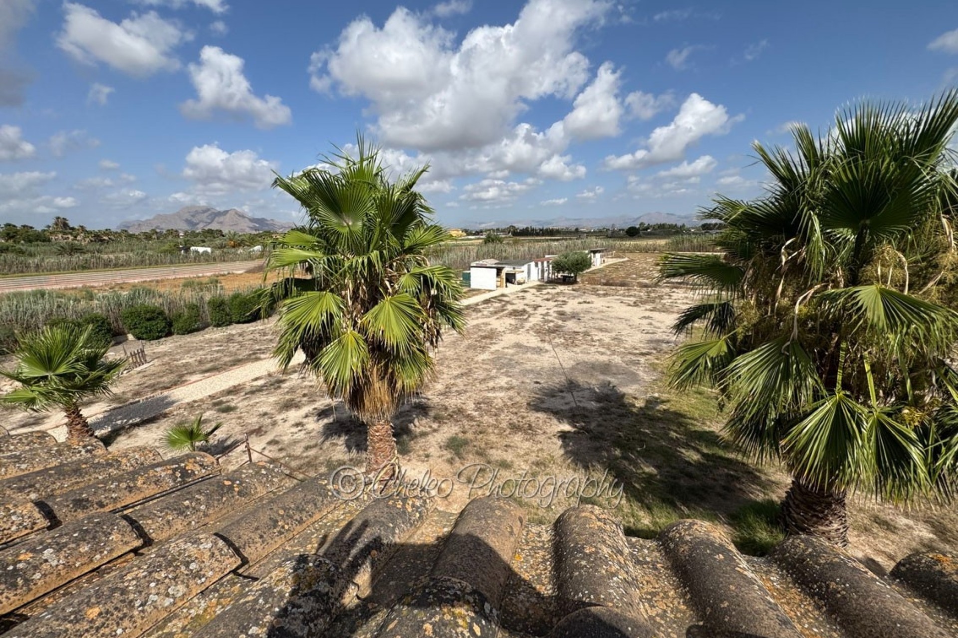 Resale - Detached Villa -
Catral - CatralAlicanteValenciaSpain