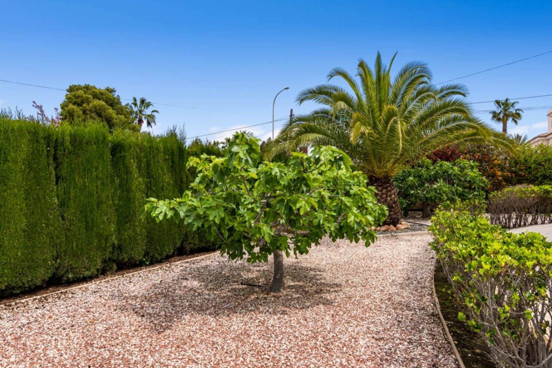 Resale - Detached Villa -
Ciudad Quesada - Rojales - Ciudad Quesada