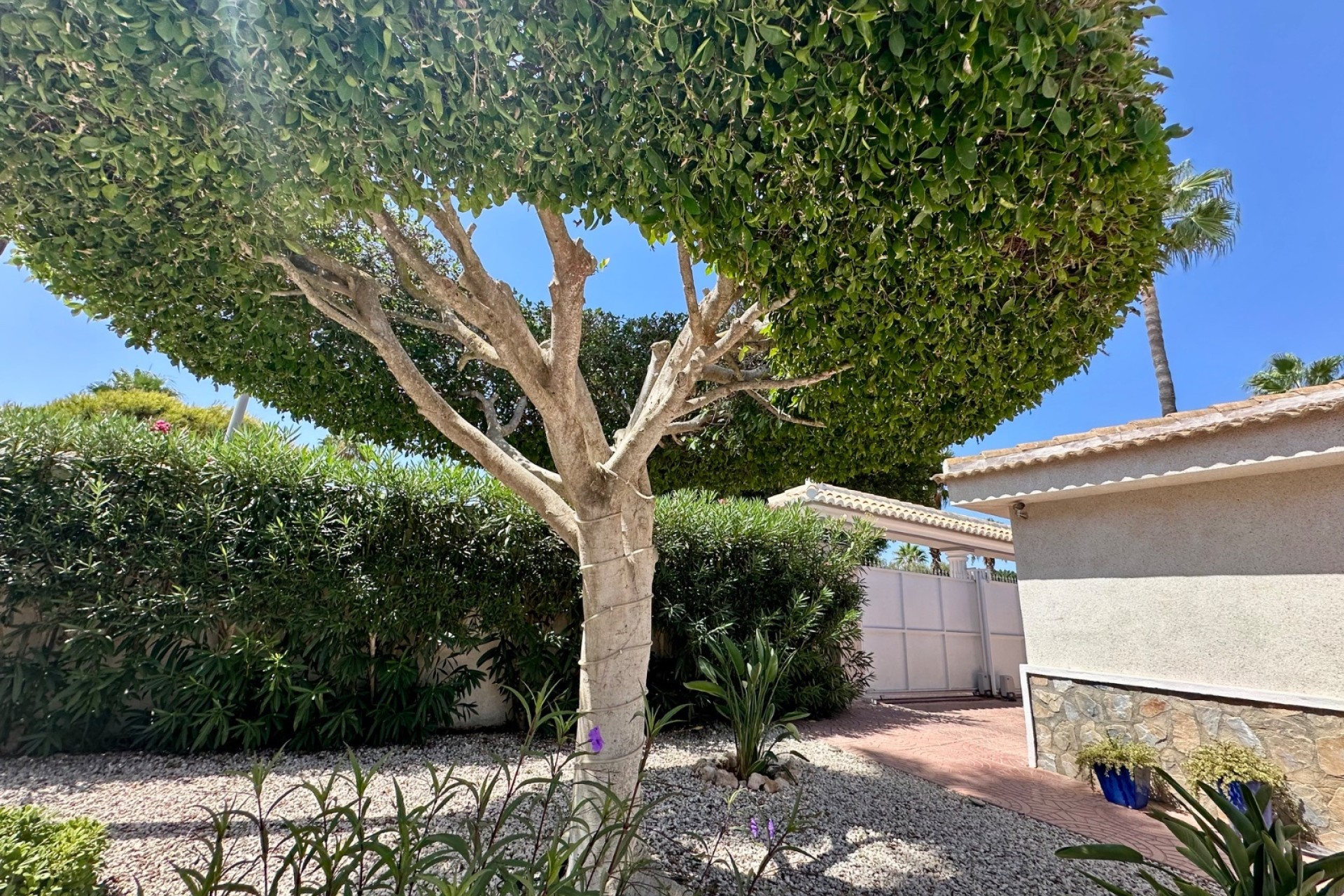 Resale - Detached Villa -
Ciudad Quesada - Rojales - Doña Pepa