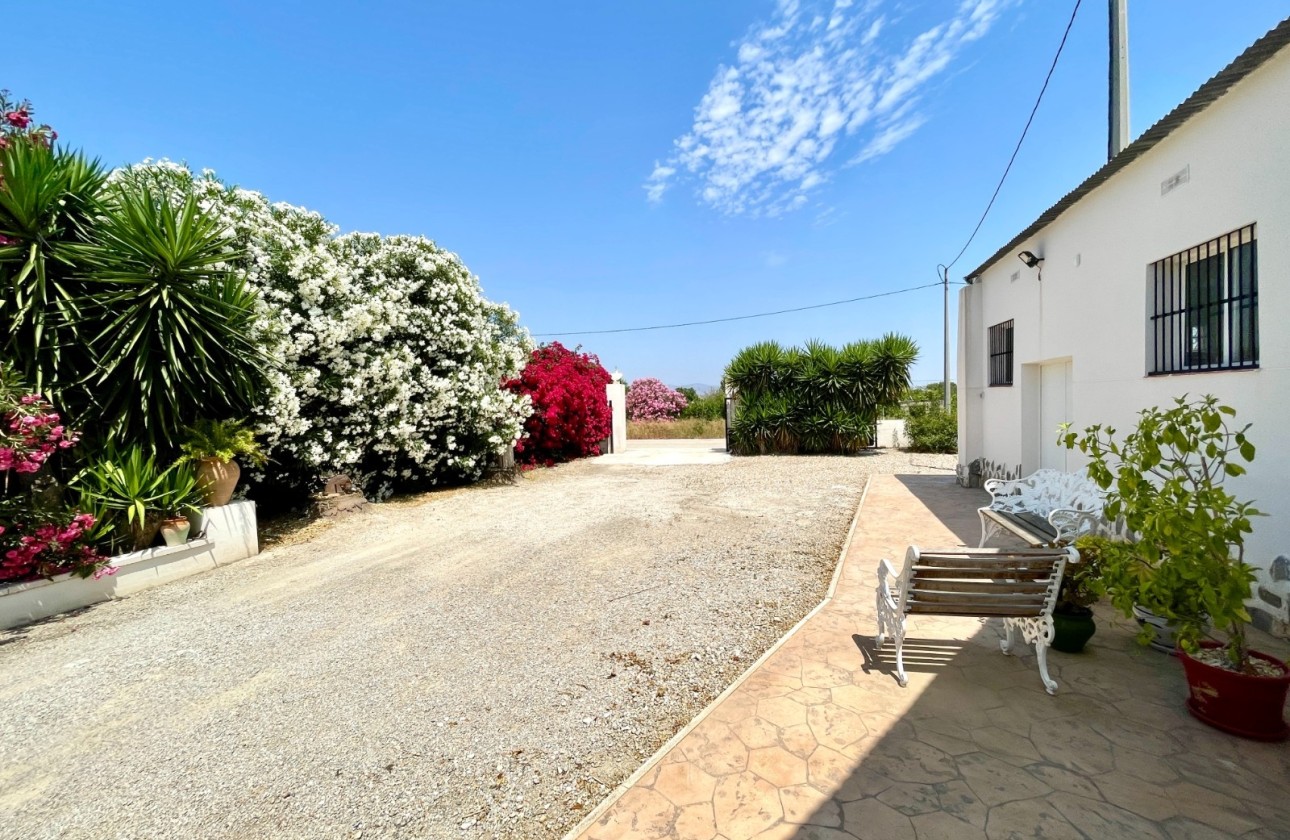 Resale - Detached Villa -
Daya Nueva