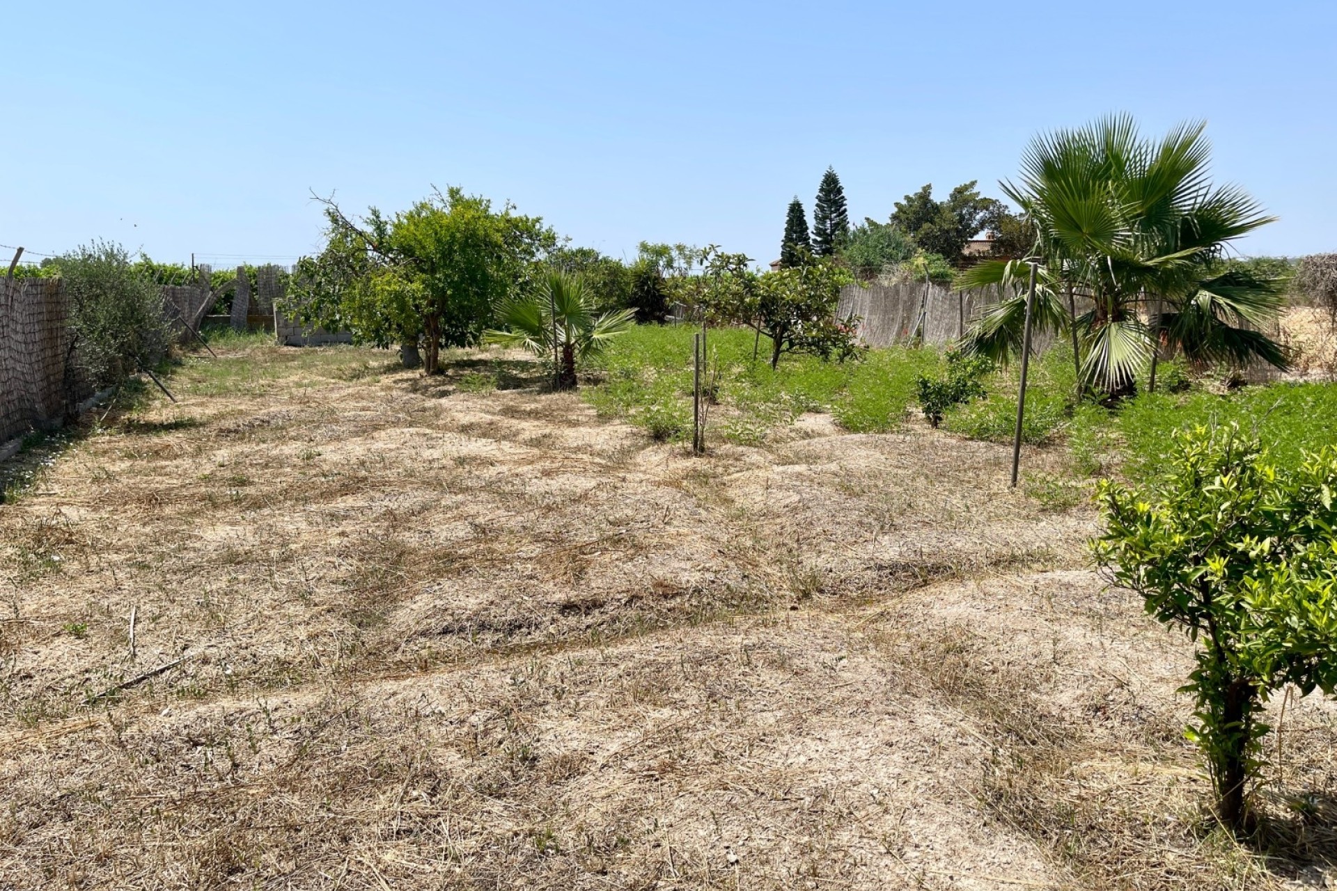 Resale - Detached Villa -
Daya Nueva