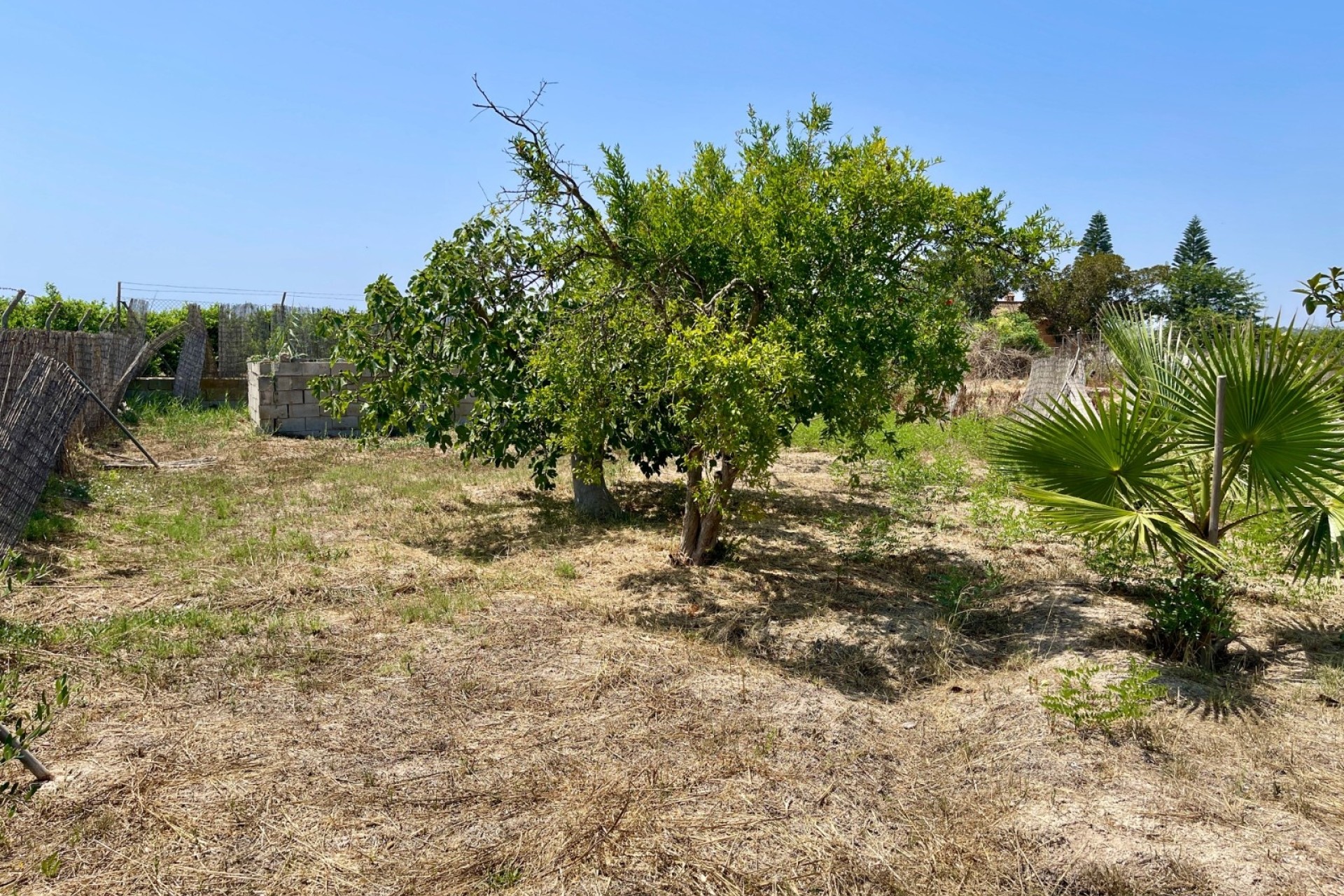 Resale - Detached Villa -
Daya Nueva