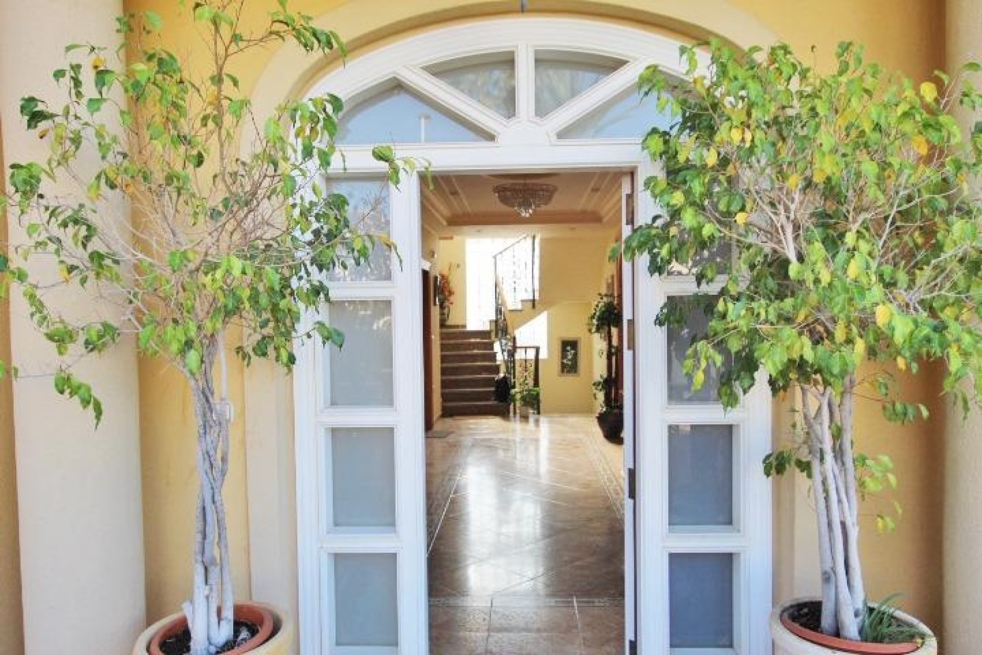 Resale - Detached Villa -
Elche - Altabix