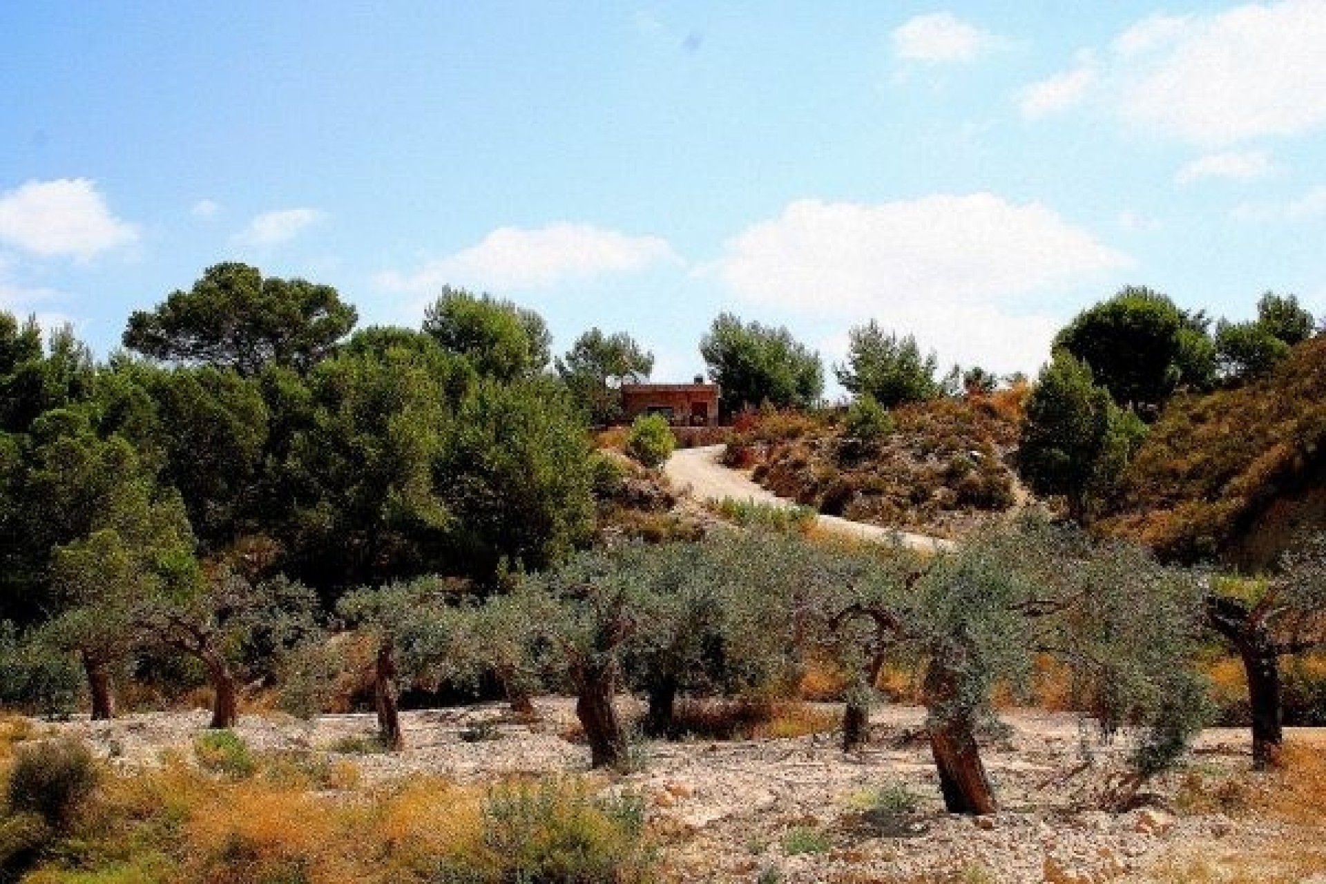 Resale - Detached Villa -
Gea y Truyols