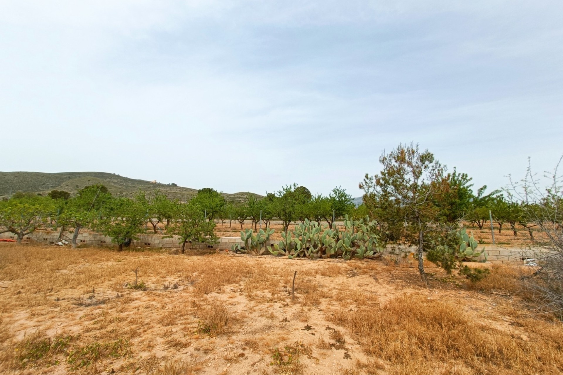 Resale - Detached Villa -
Hondón de los Fráiles