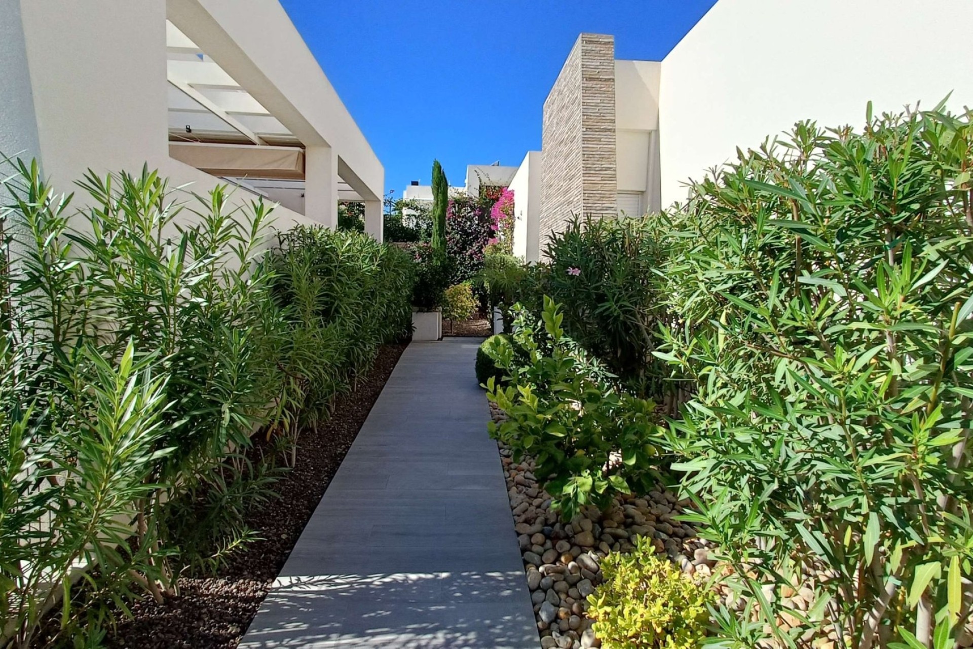 Resale - Detached Villa -
La Finca Golf - La Finca Golf and Spa Resort