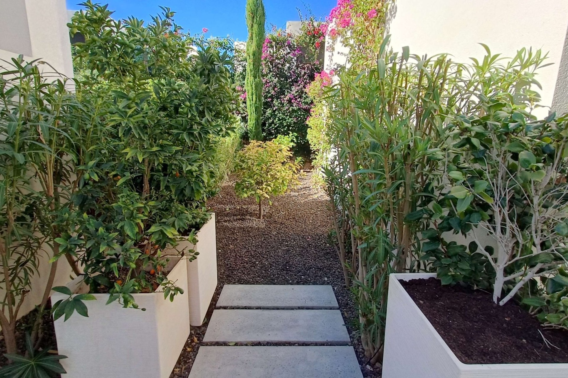 Resale - Detached Villa -
La Finca Golf - La Finca Golf and Spa Resort