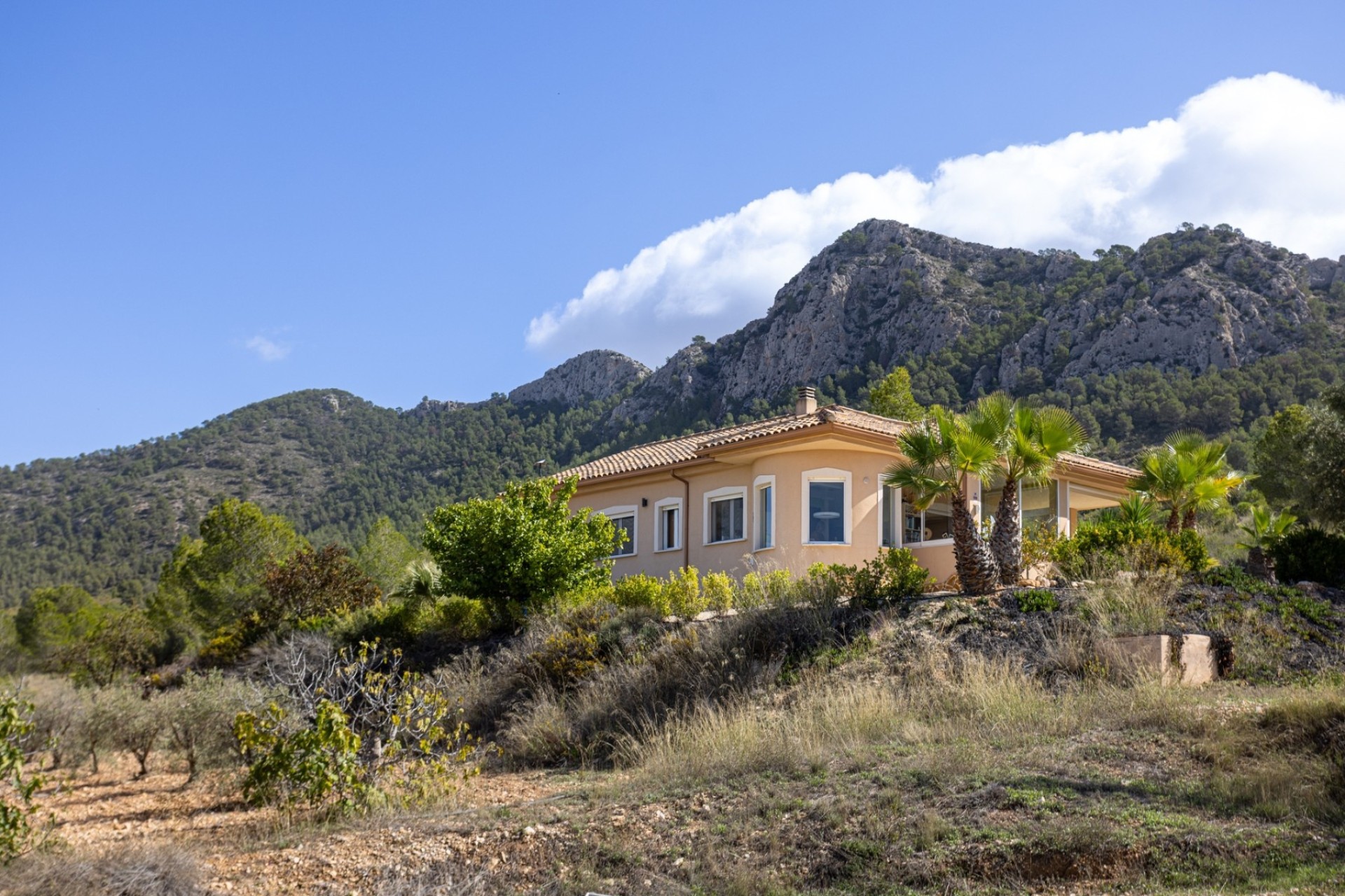 Resale - Detached Villa -
La Zarza - La Zarza Murcia