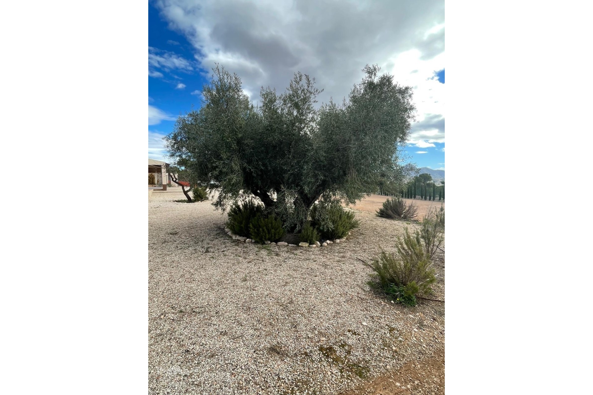 Resale - Detached Villa -
Macisvenda - Macisvenda Murcia