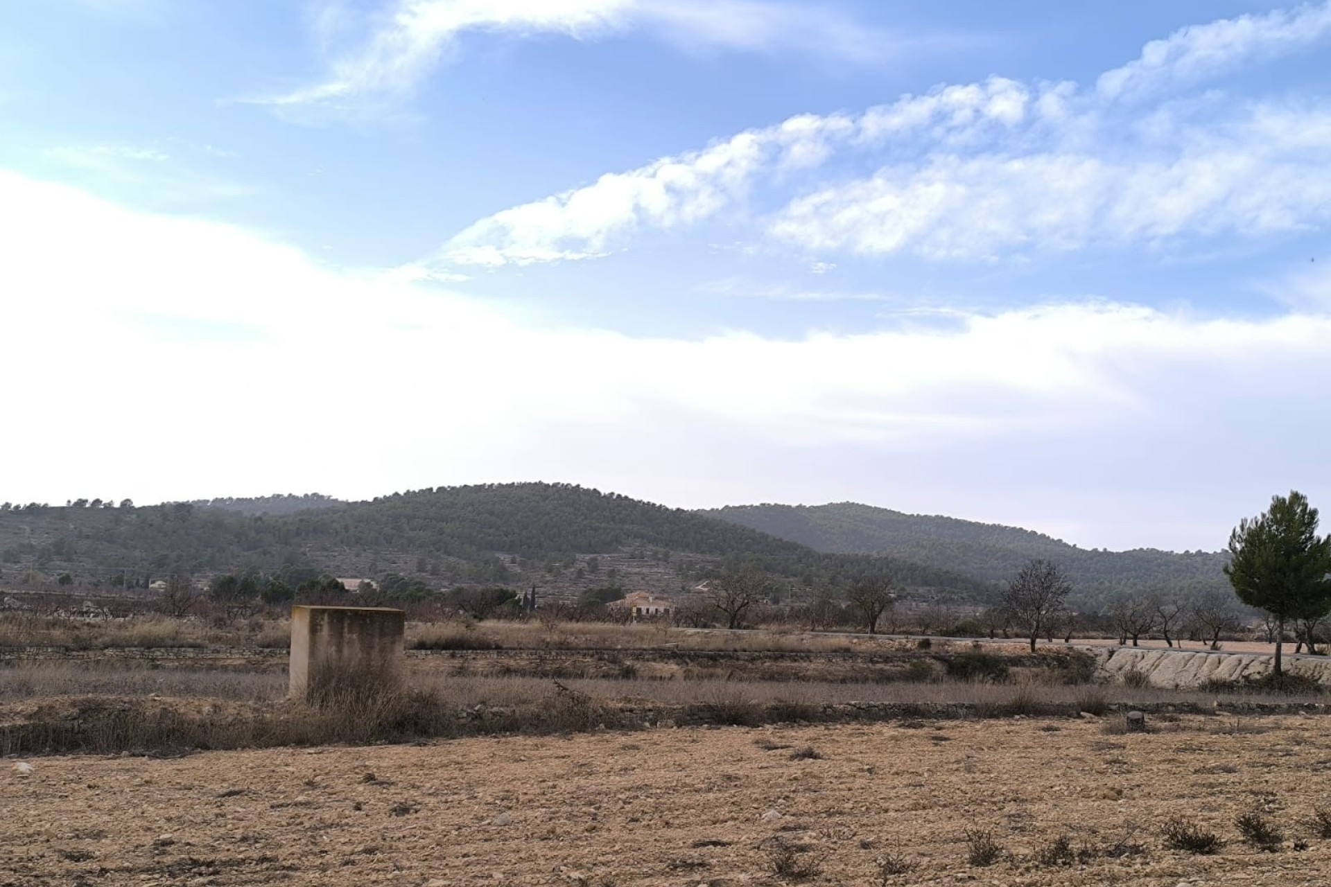 Resale - Detached Villa -
Monóvar - Inland