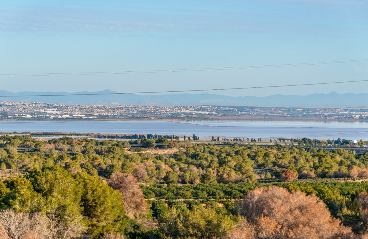 Resale - Detached Villa -
Orihuela - Villamartin