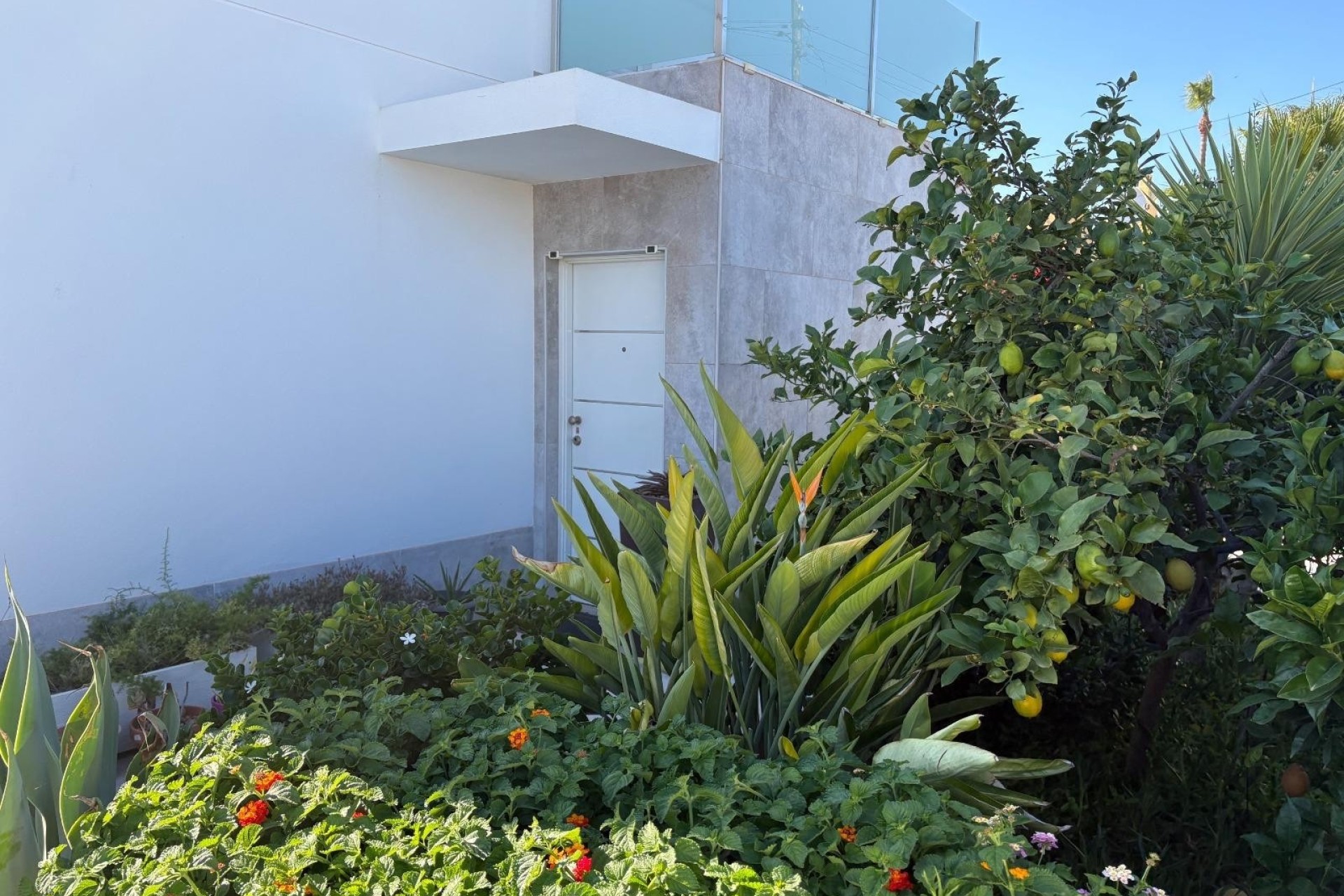 Resale - Detached Villa -
Torrevieja - La Siesta