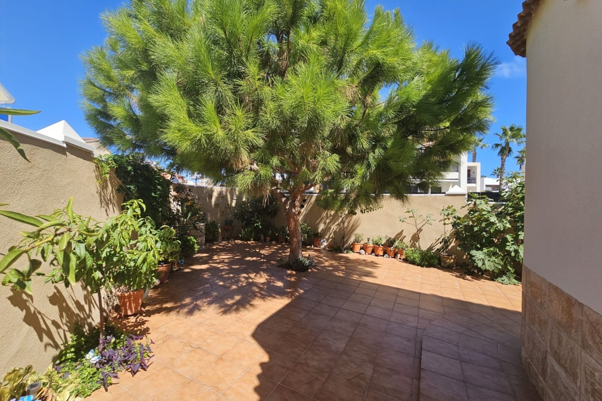 Resale - Detached Villa -
Torrevieja - Torre la mata