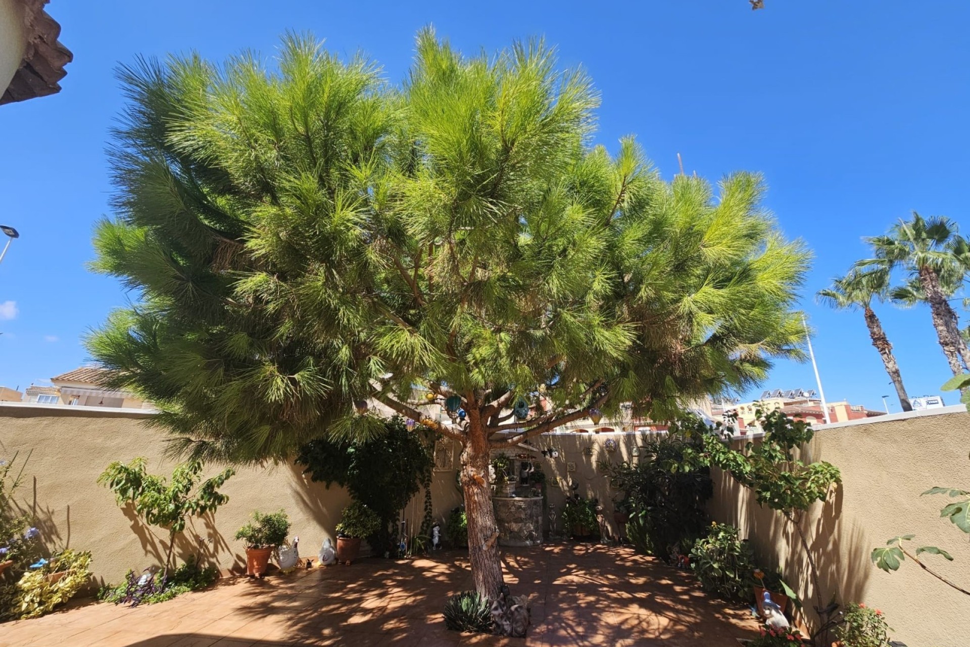 Resale - Detached Villa -
Torrevieja - Torre la mata
