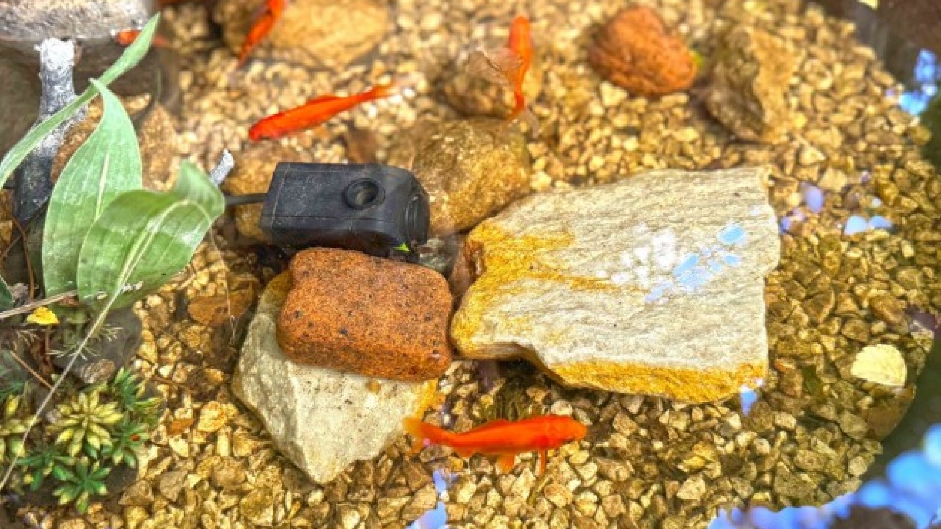 Resale - Doppelhaushälfte -
Orihuela Costa - 0