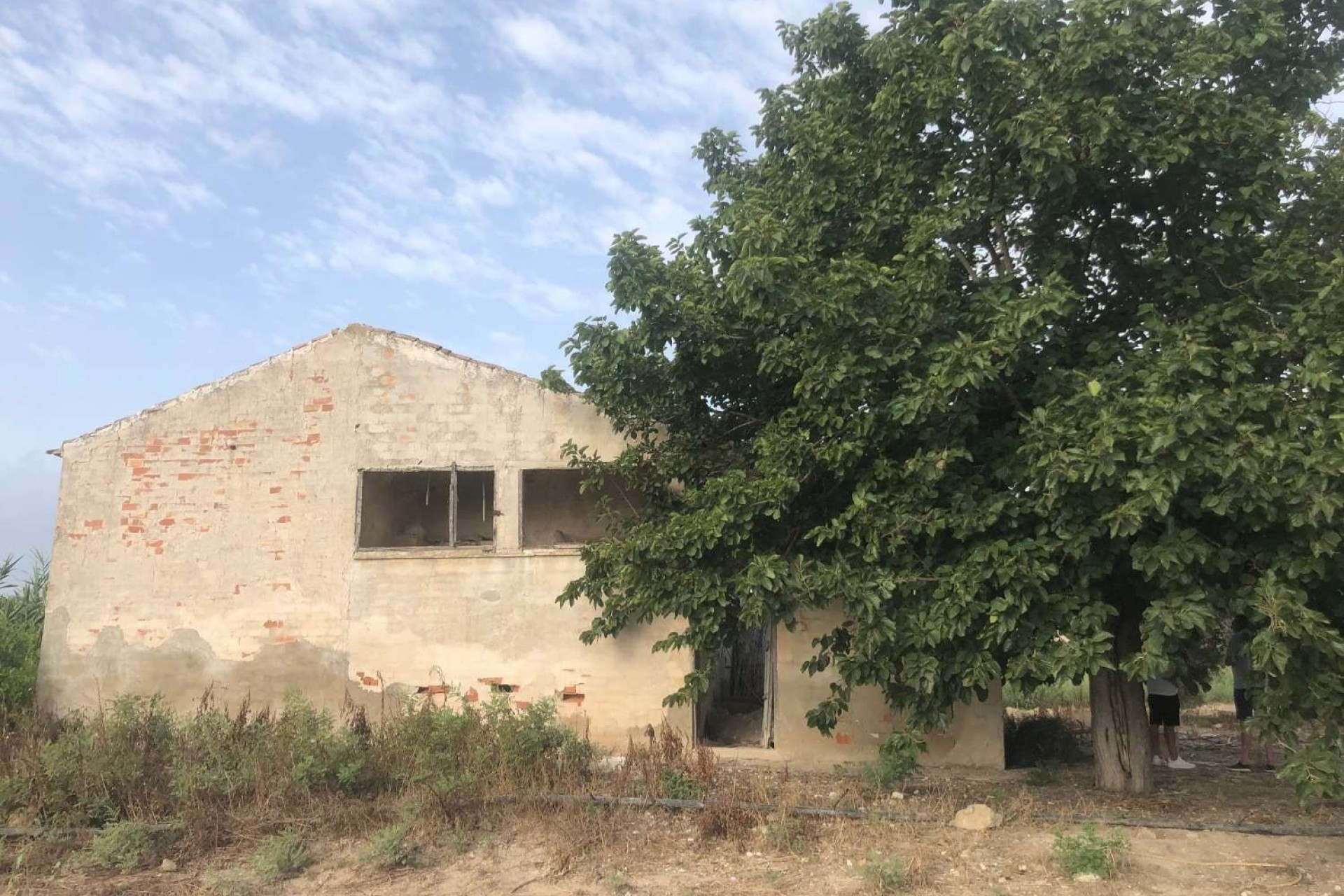 Resale - Finca - Country Property -
Callosa de Segura