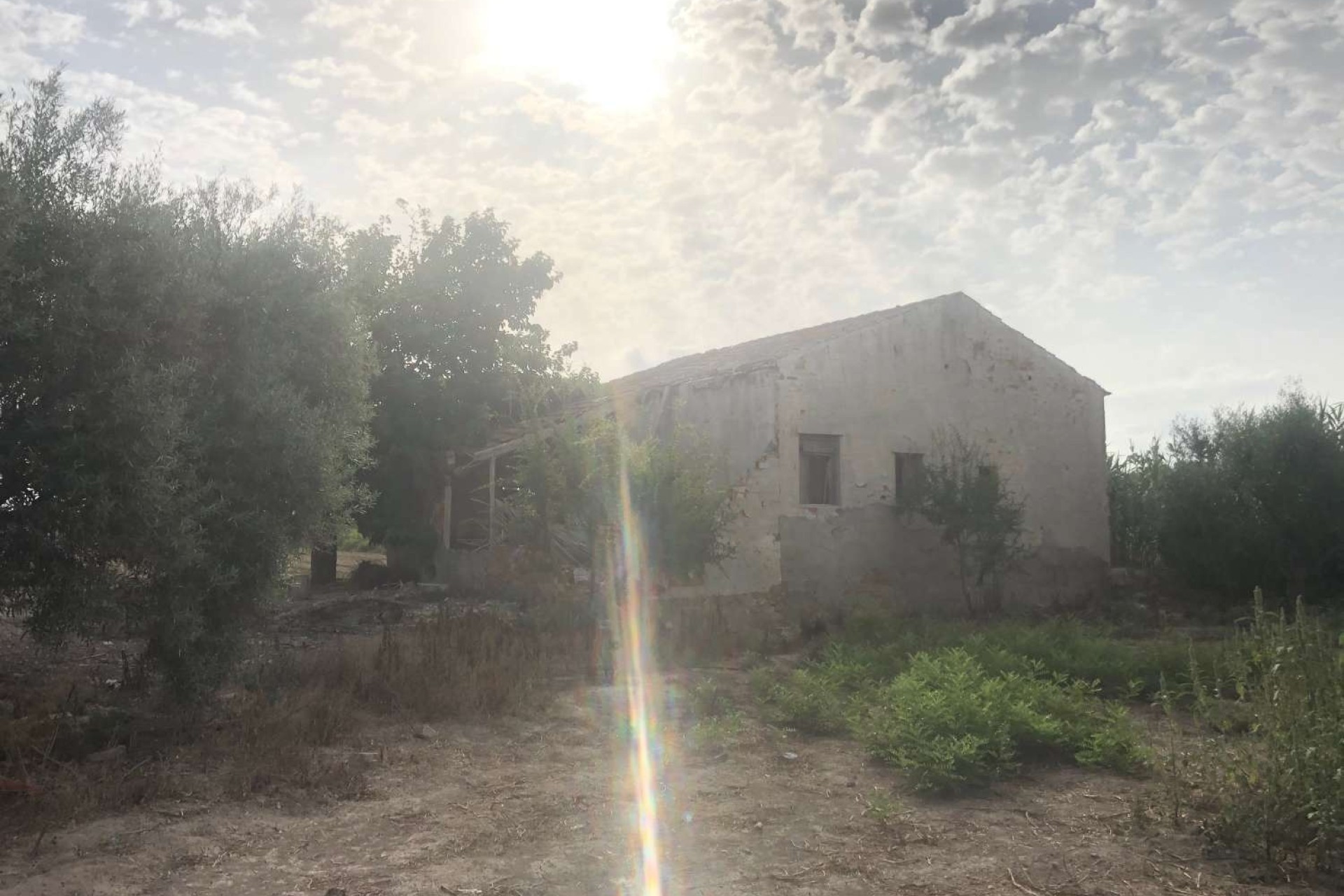 Resale - Finca - Country Property -
Callosa de Segura