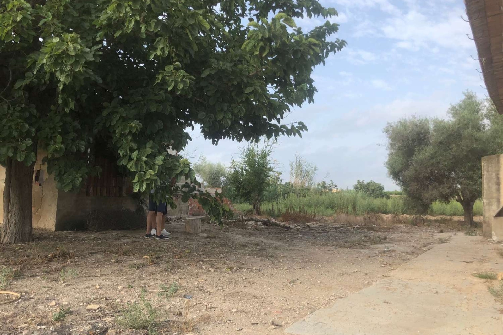 Resale - Finca - Country Property -
Callosa de Segura