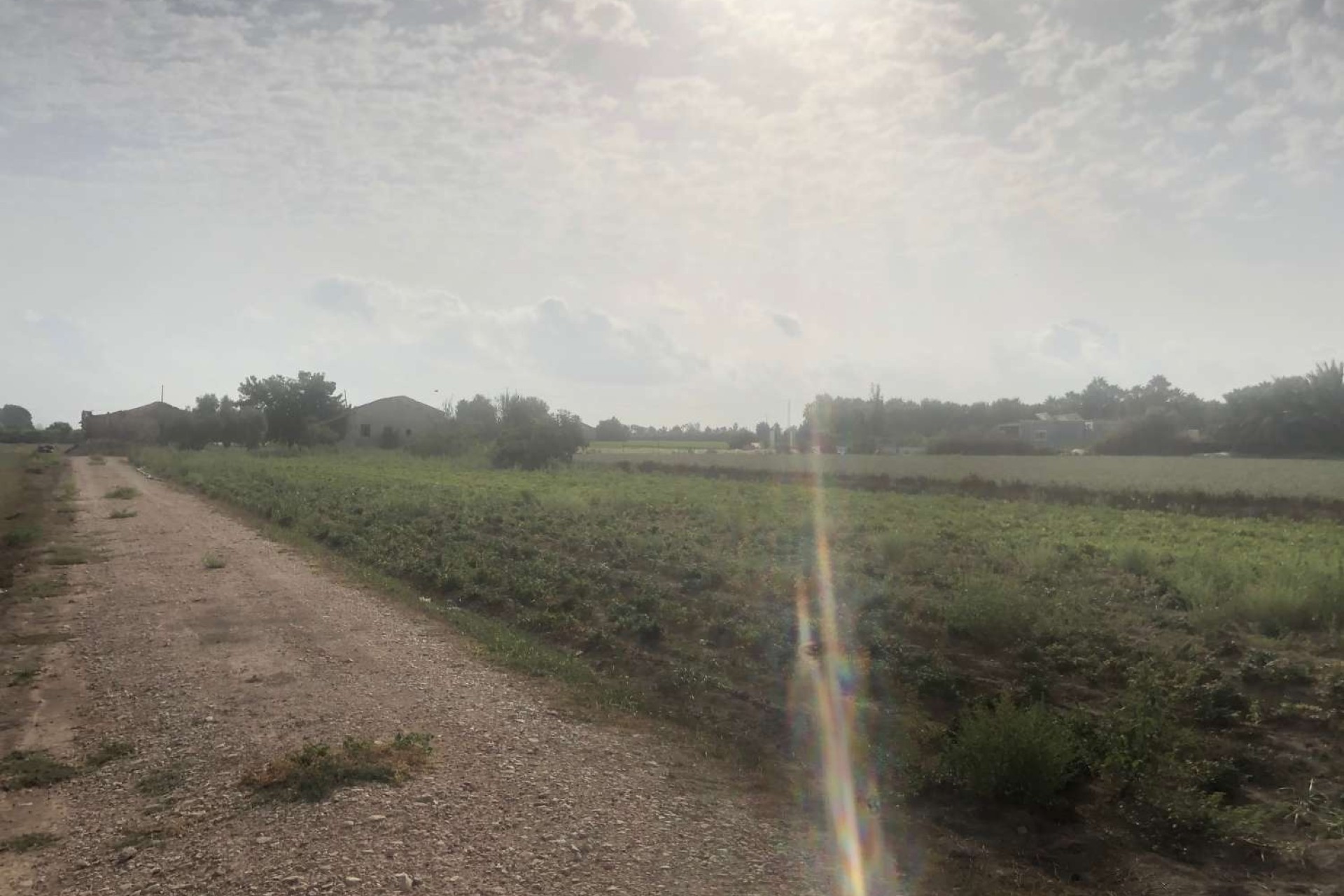 Resale - Finca - Country Property -
Callosa de Segura