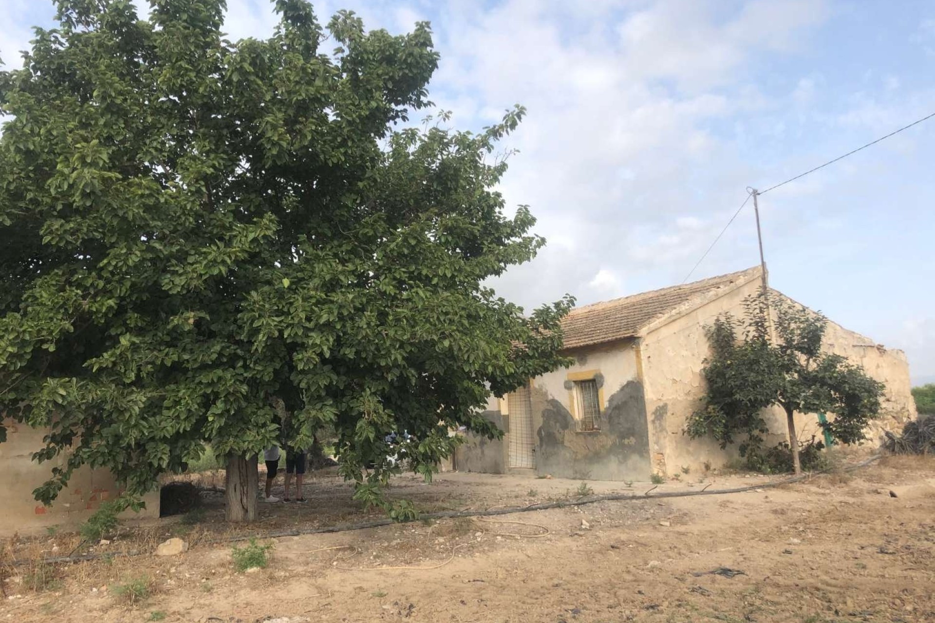 Resale - Finca - Country Property -
Callosa de Segura