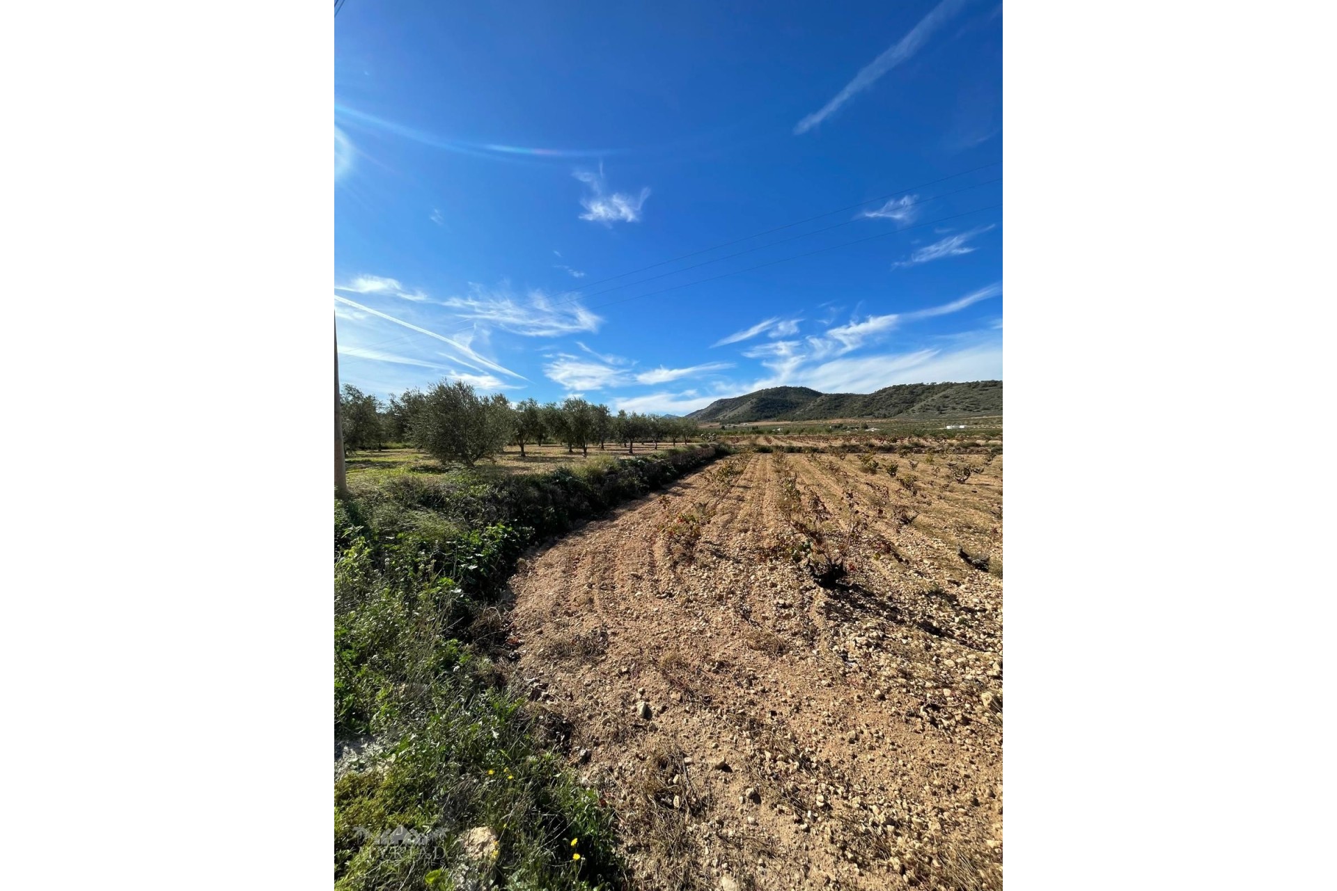 Resale - Finca - Country Property -
Cañada de la Leña - Canada de la Lena Murcia