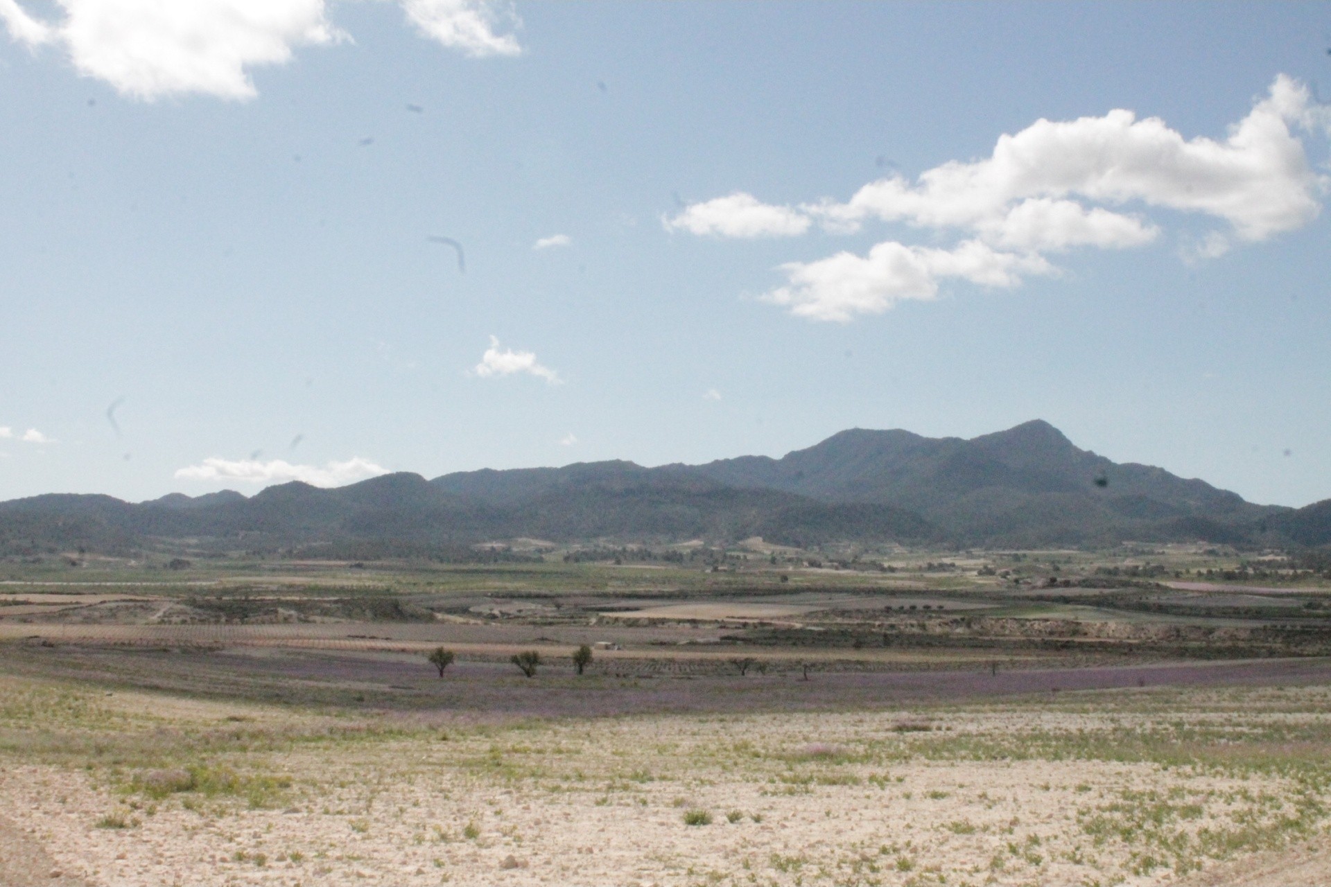 Resale - Finca - Country Property -
Cañada del Trigo - Canada del Trigo Murcia