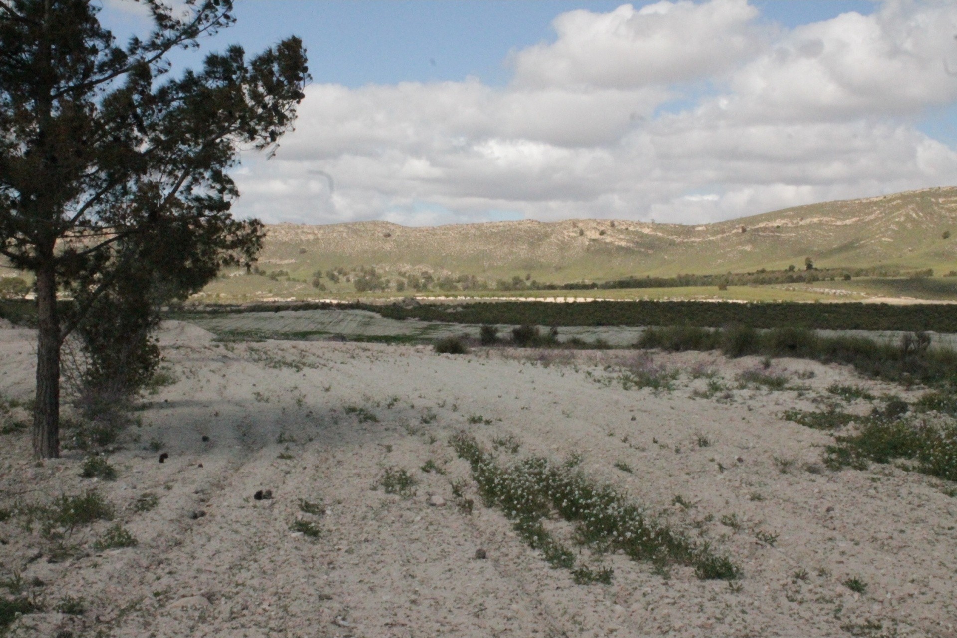 Resale - Finca - Country Property -
Cañada del Trigo - Canada del Trigo Murcia