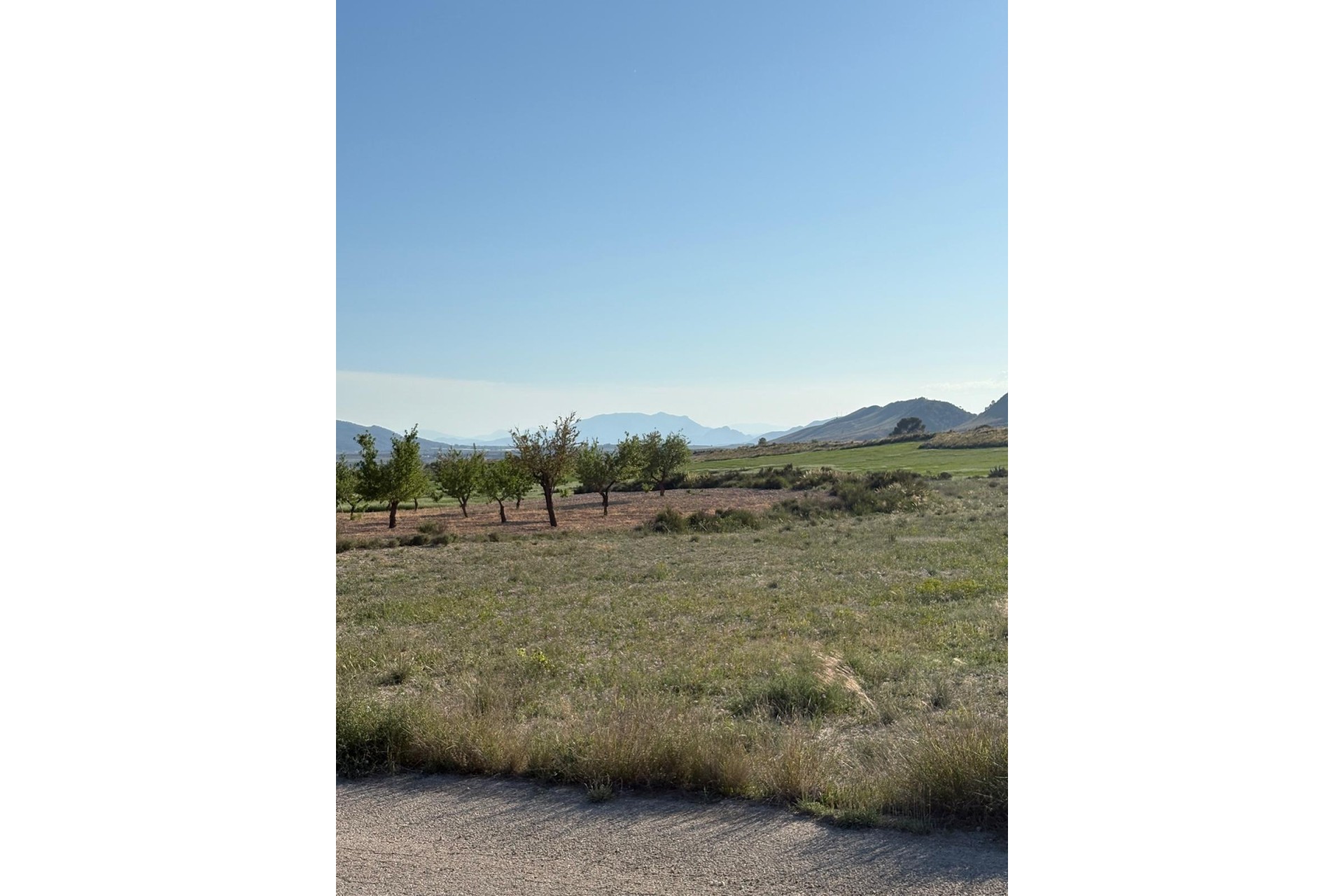 Resale - Finca - Country Property -
Cañada del Trigo - Canada del Trigo Murcia