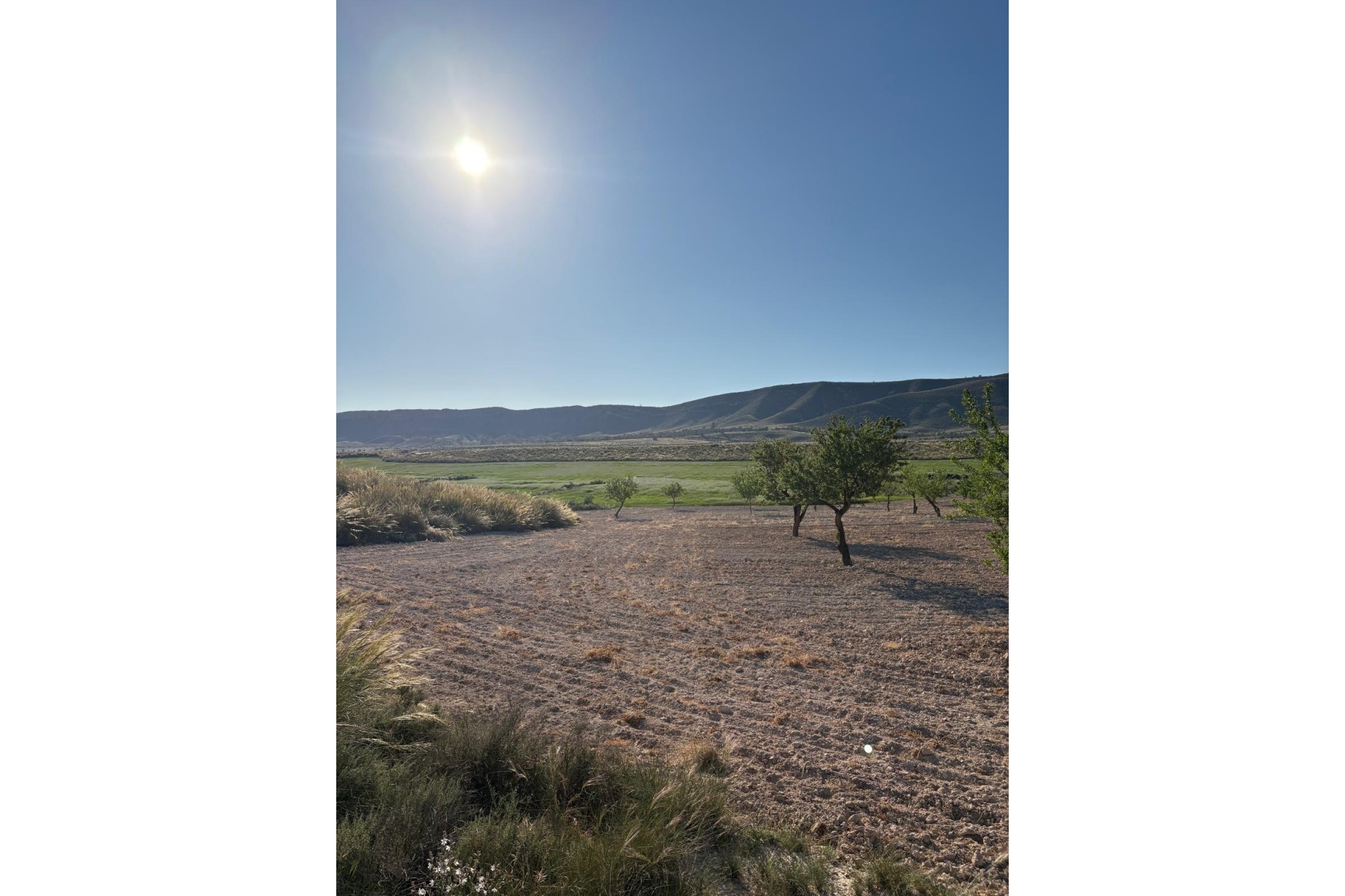 Resale - Finca - Country Property -
Cañada del Trigo - Canada del Trigo Murcia