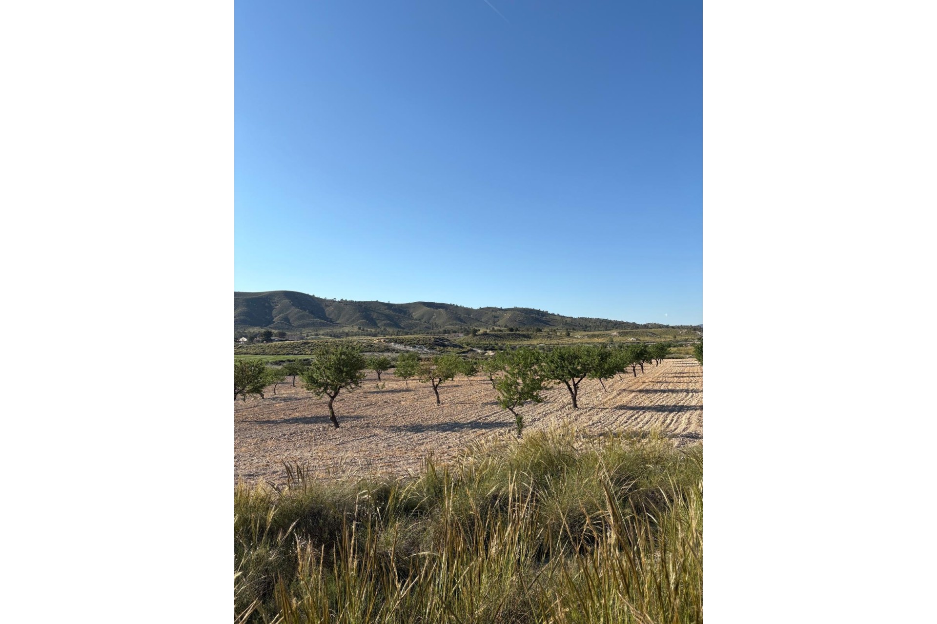 Resale - Finca - Country Property -
Cañada del Trigo - Canada del Trigo Murcia