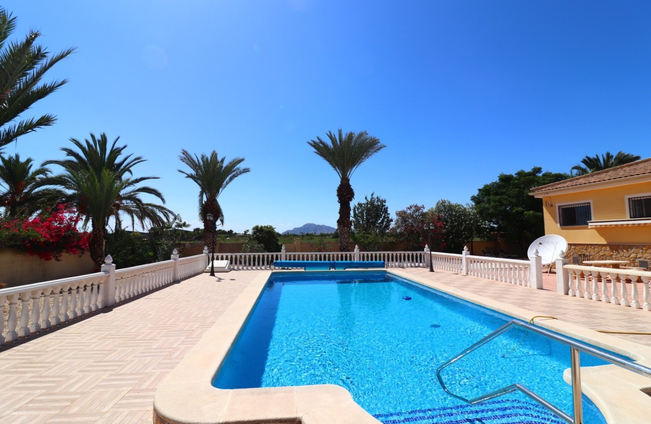 Resale - Finca - Country Property -
Catral - Catral - Country