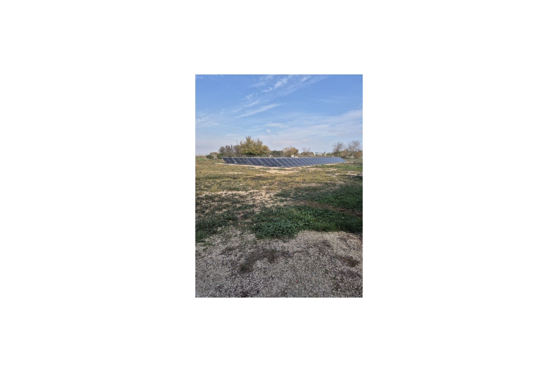 Resale - Finca - Country Property -
Daya Vieja