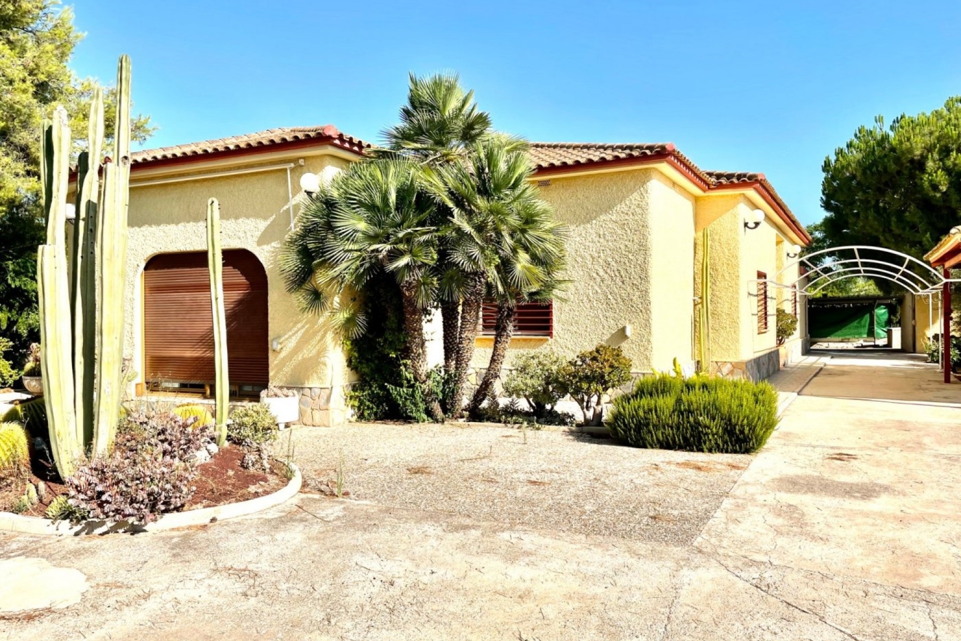 Resale - Finca - Country Property -
Elche