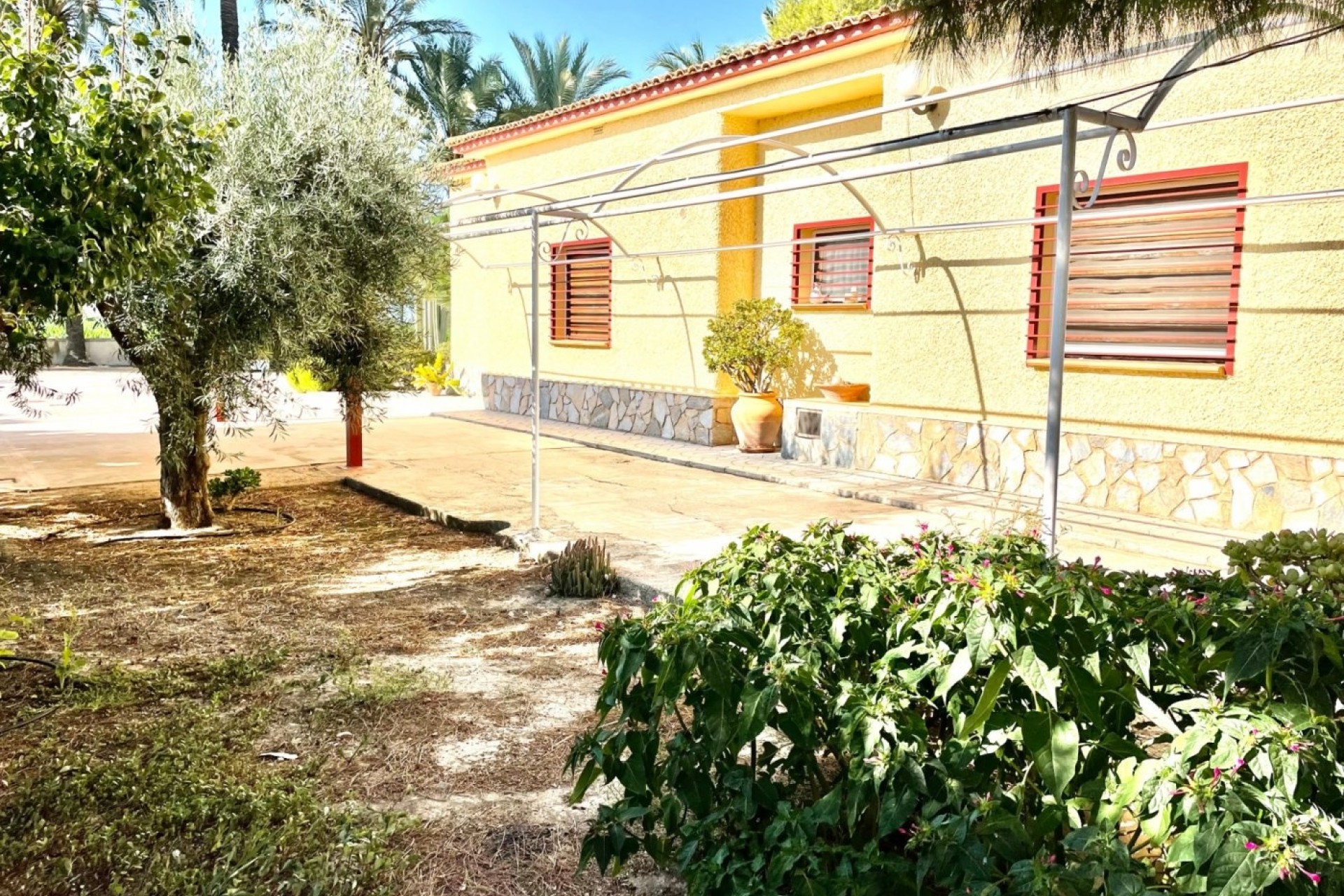 Resale - Finca - Country Property -
Elche