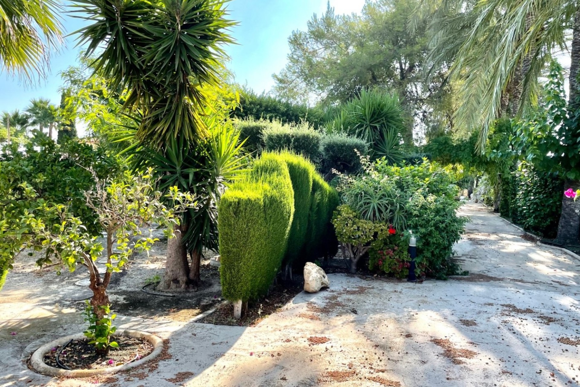 Resale - Finca - Country Property -
Elche