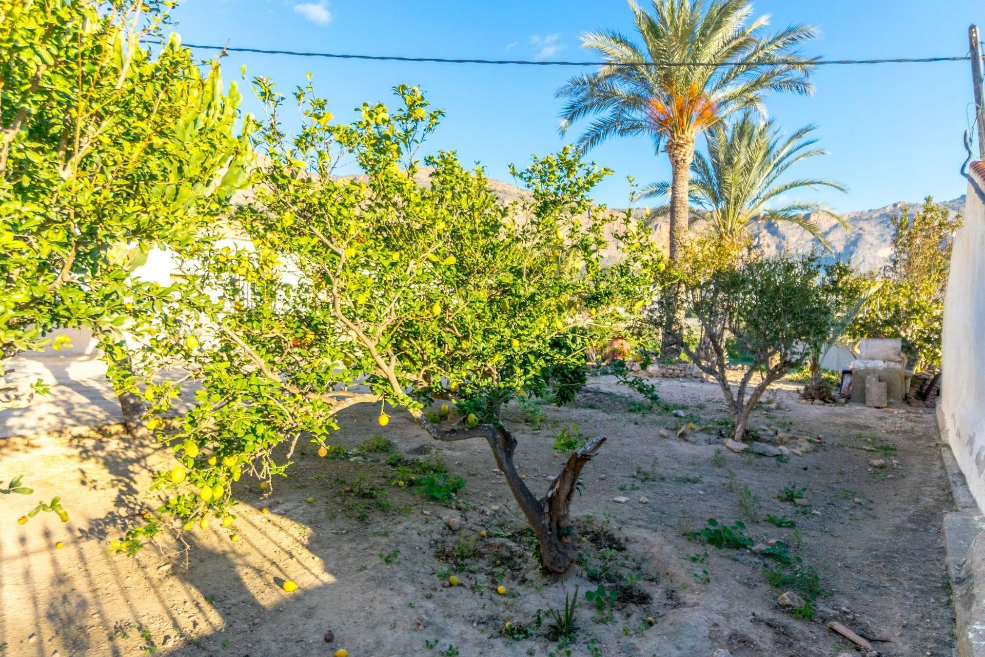 Resale - Finca - Country Property -
Orihuela - Raiguero de Bonanza