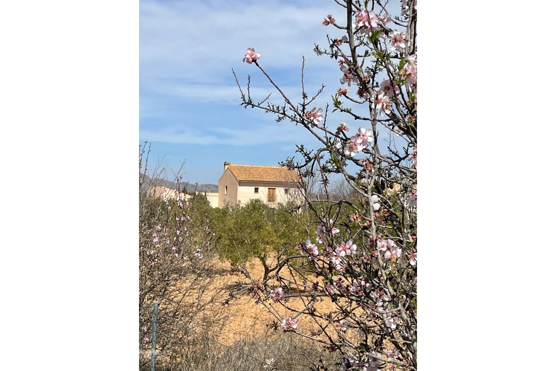 Resale - Finca - Country Property -
Raspay - Raspay Murcia