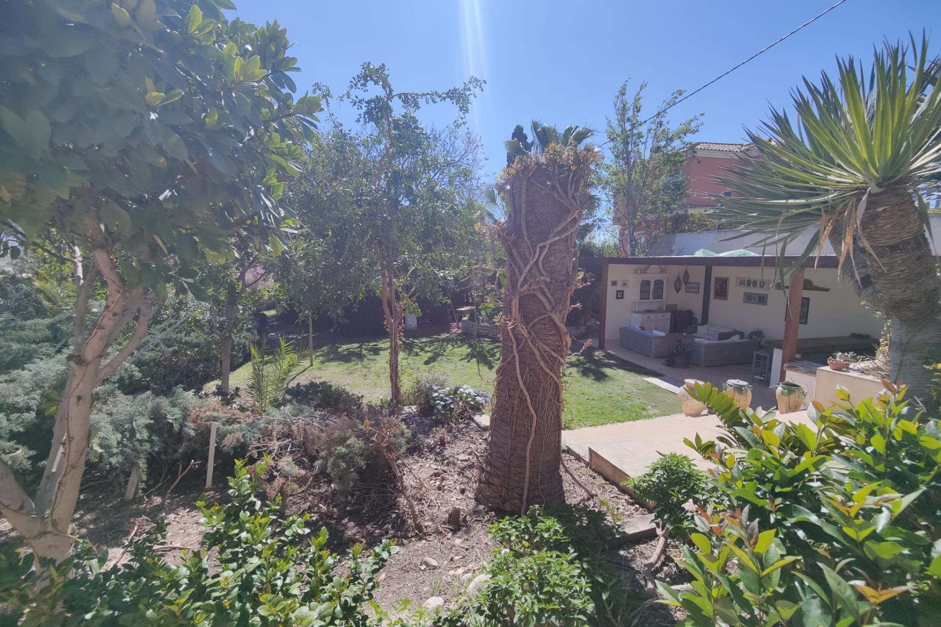 Resale - Finca - Country Property -
San Juan de Alicante - SAN JUAN